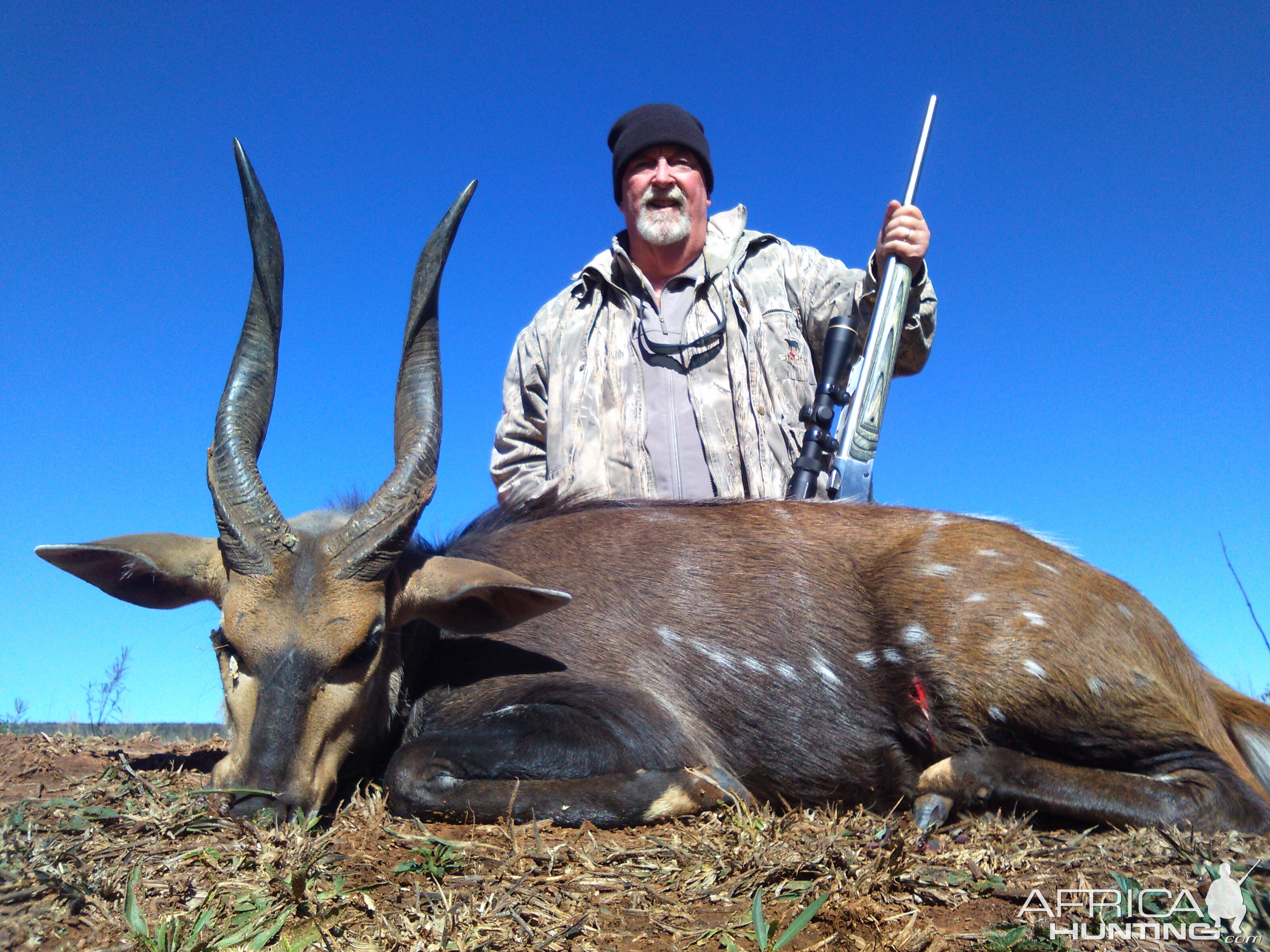 South Africa Hunting Bushbuck