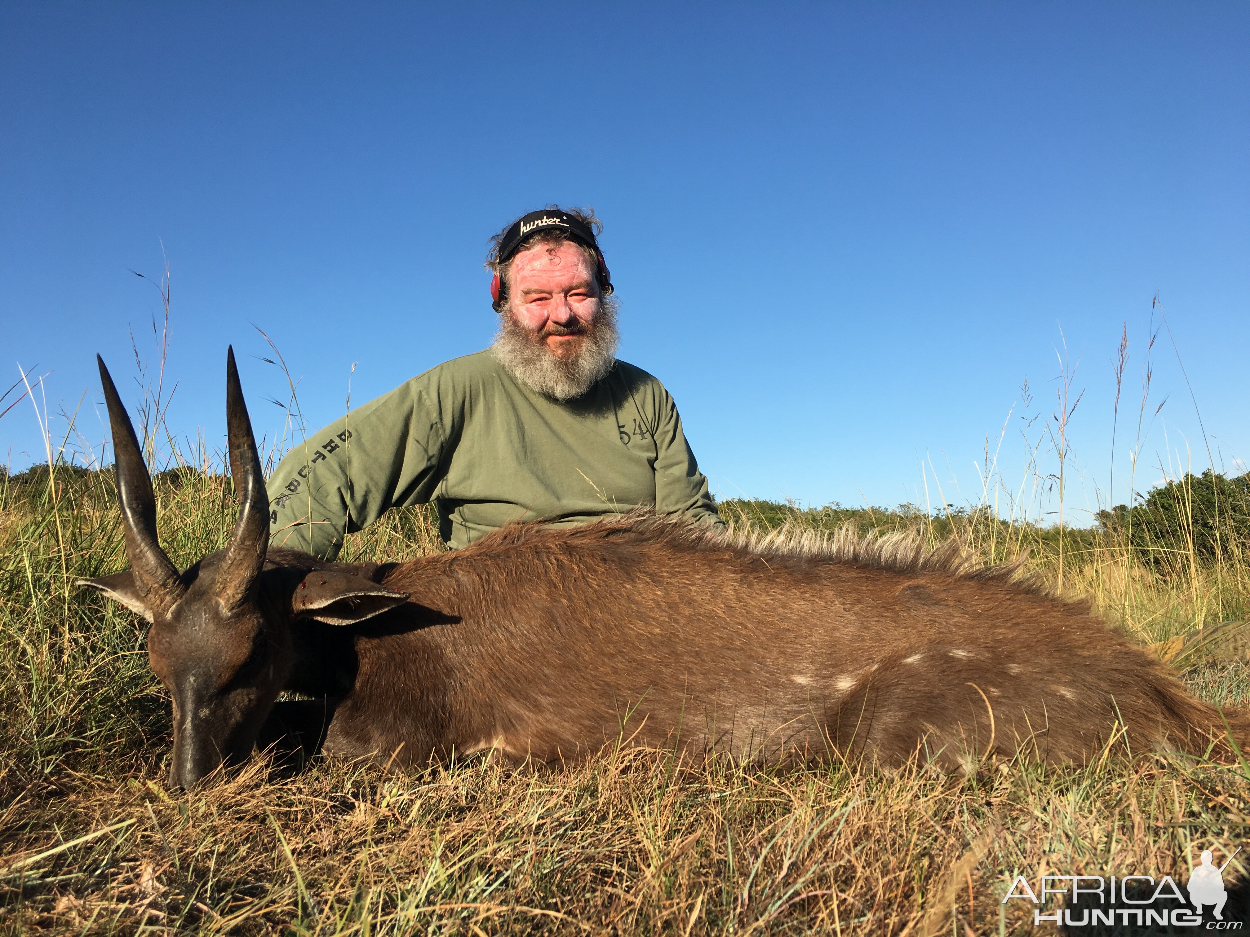 South Africa Hunting Bushbuck