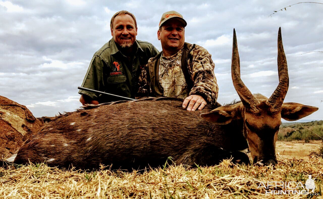 South Africa Hunting Bushbuck