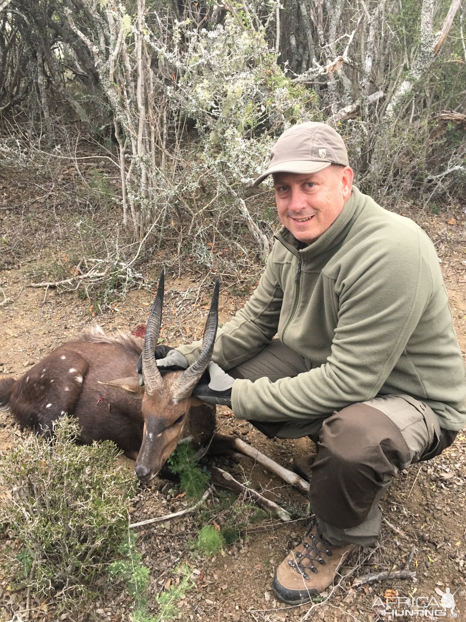 South Africa Hunting Bushbuck