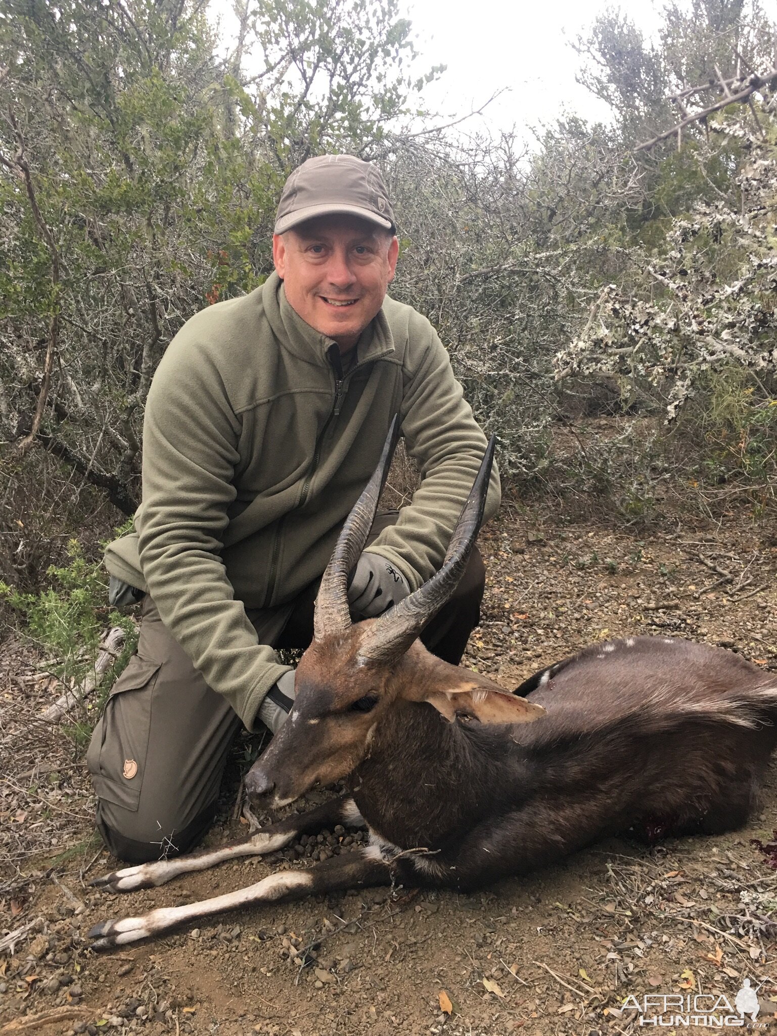 South Africa Hunting Bushbuck