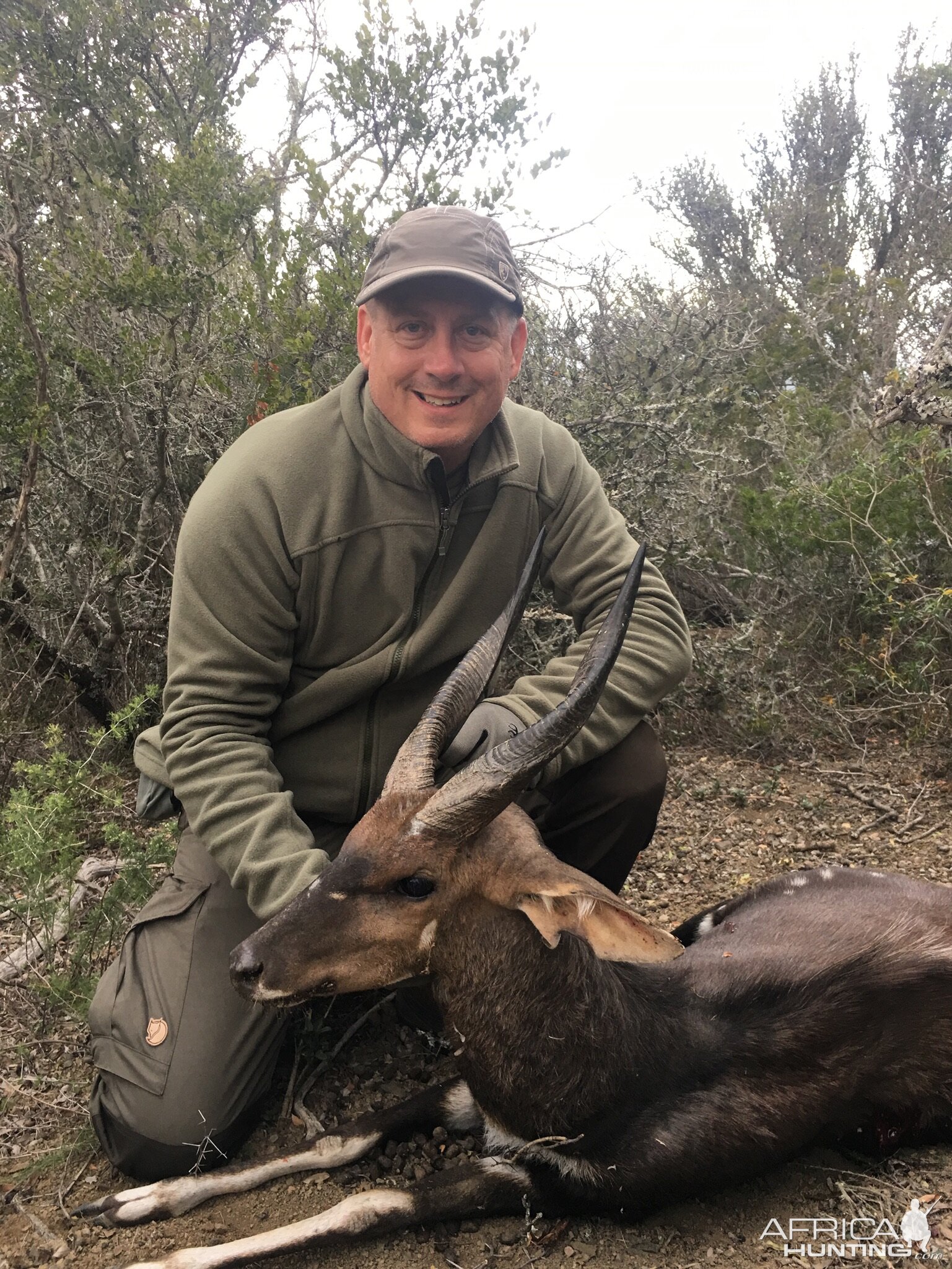 South Africa Hunting Bushbuck