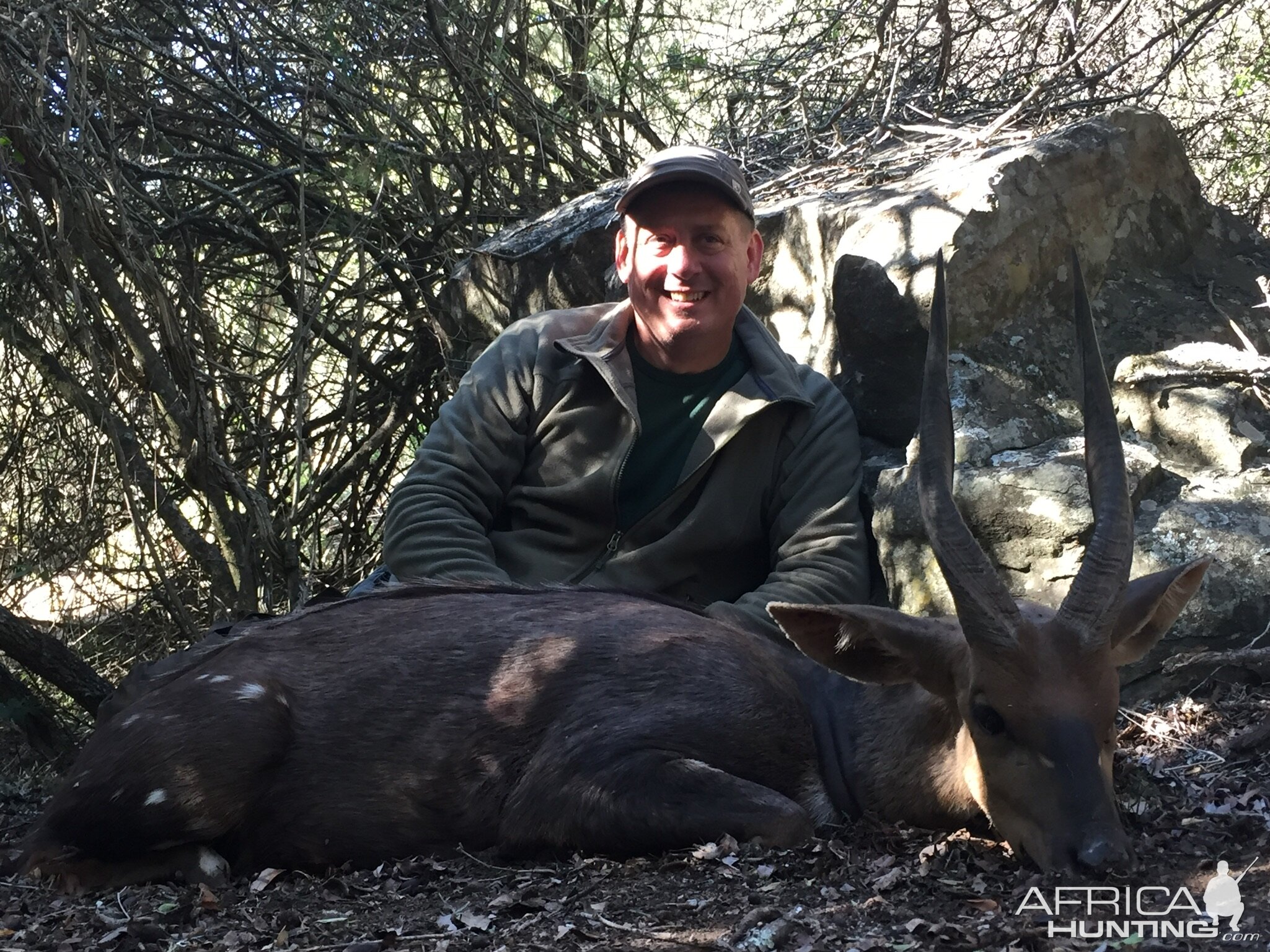 South Africa Hunting Bushbuck