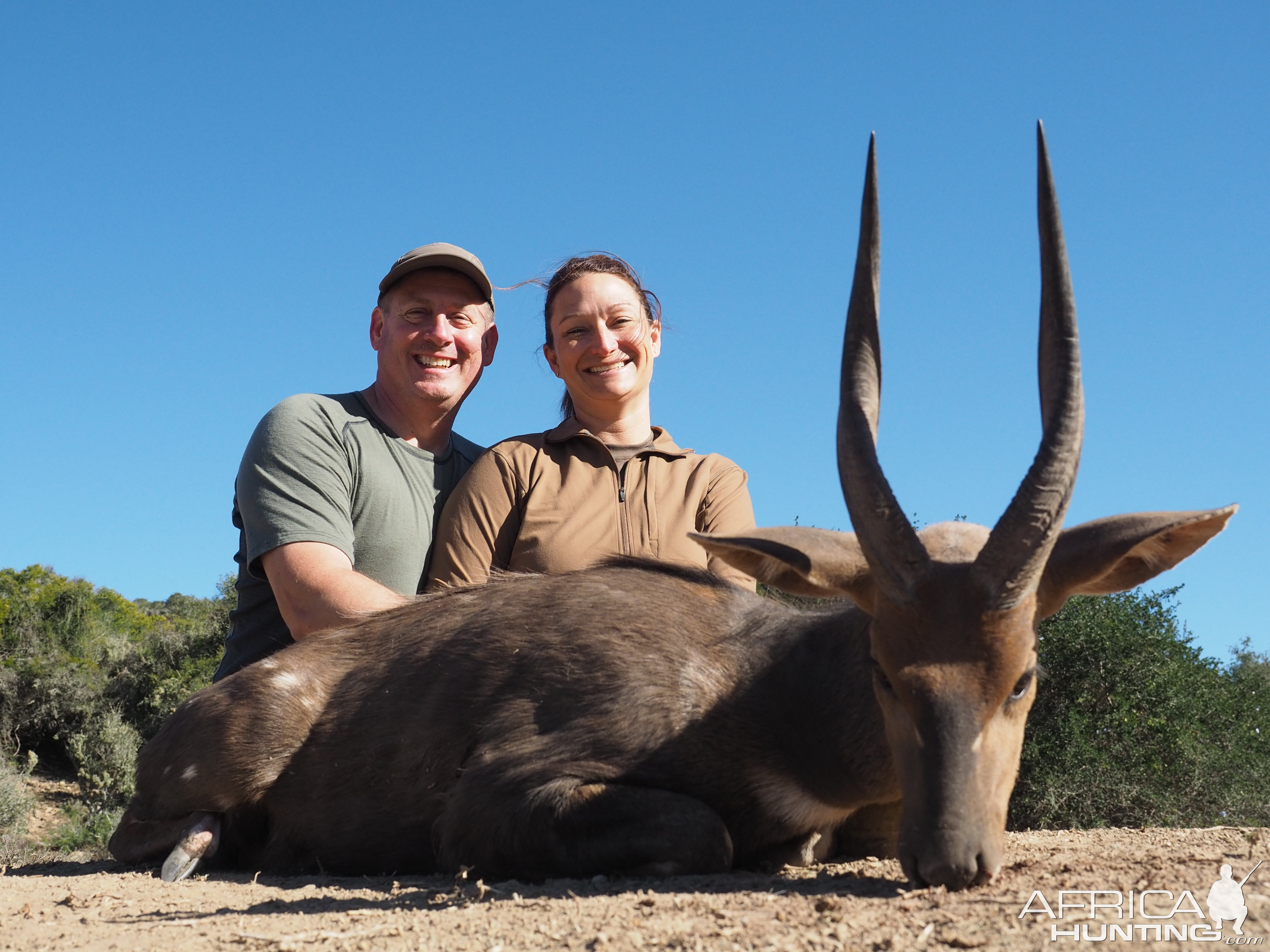 South Africa Hunting Bushbuck