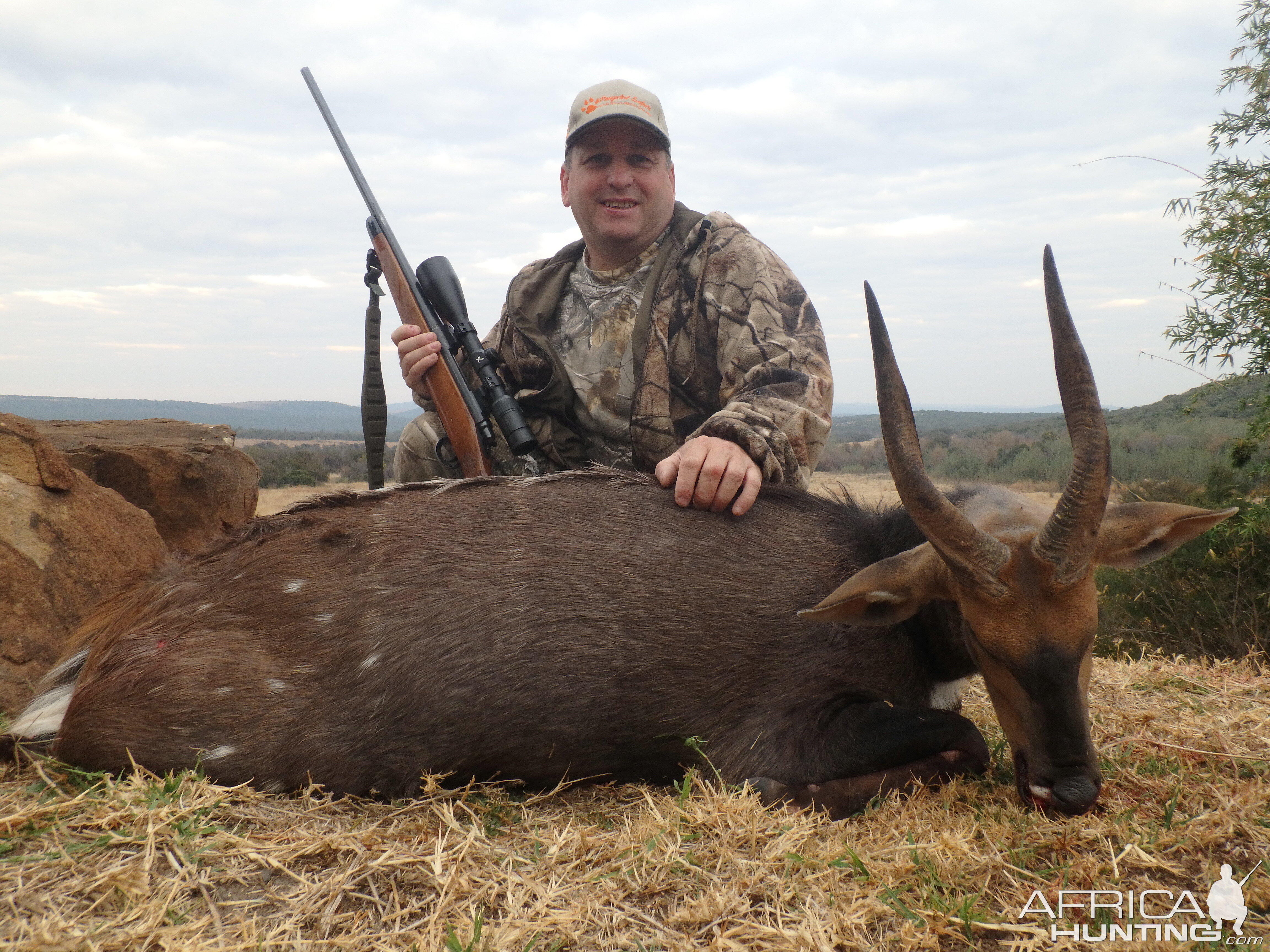 South Africa Hunting Bushbuck