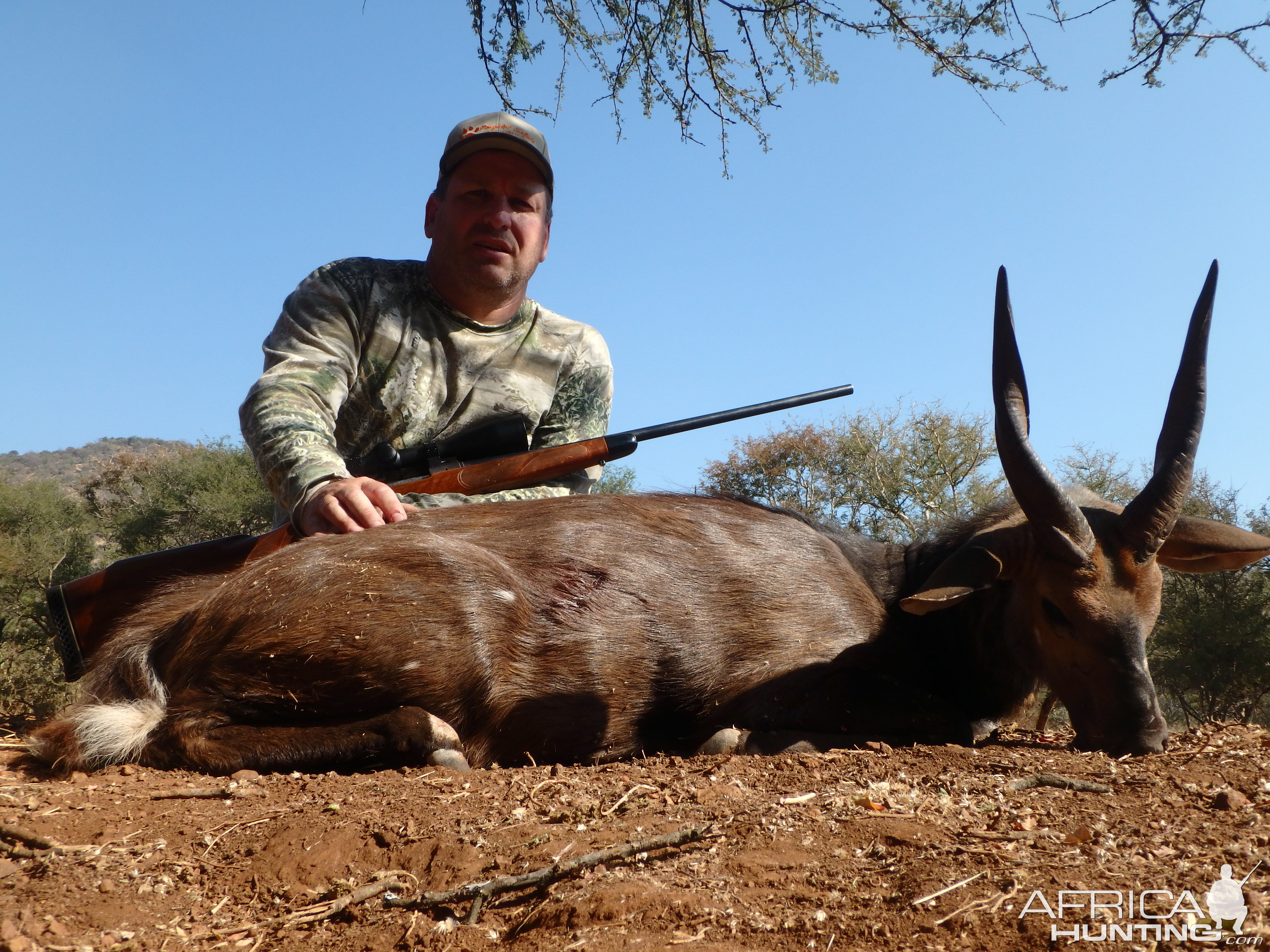 South Africa Hunting Bushbuck