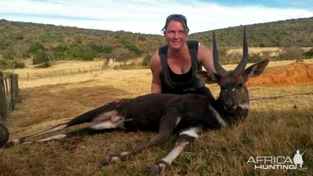 South Africa Hunting Bushbuck