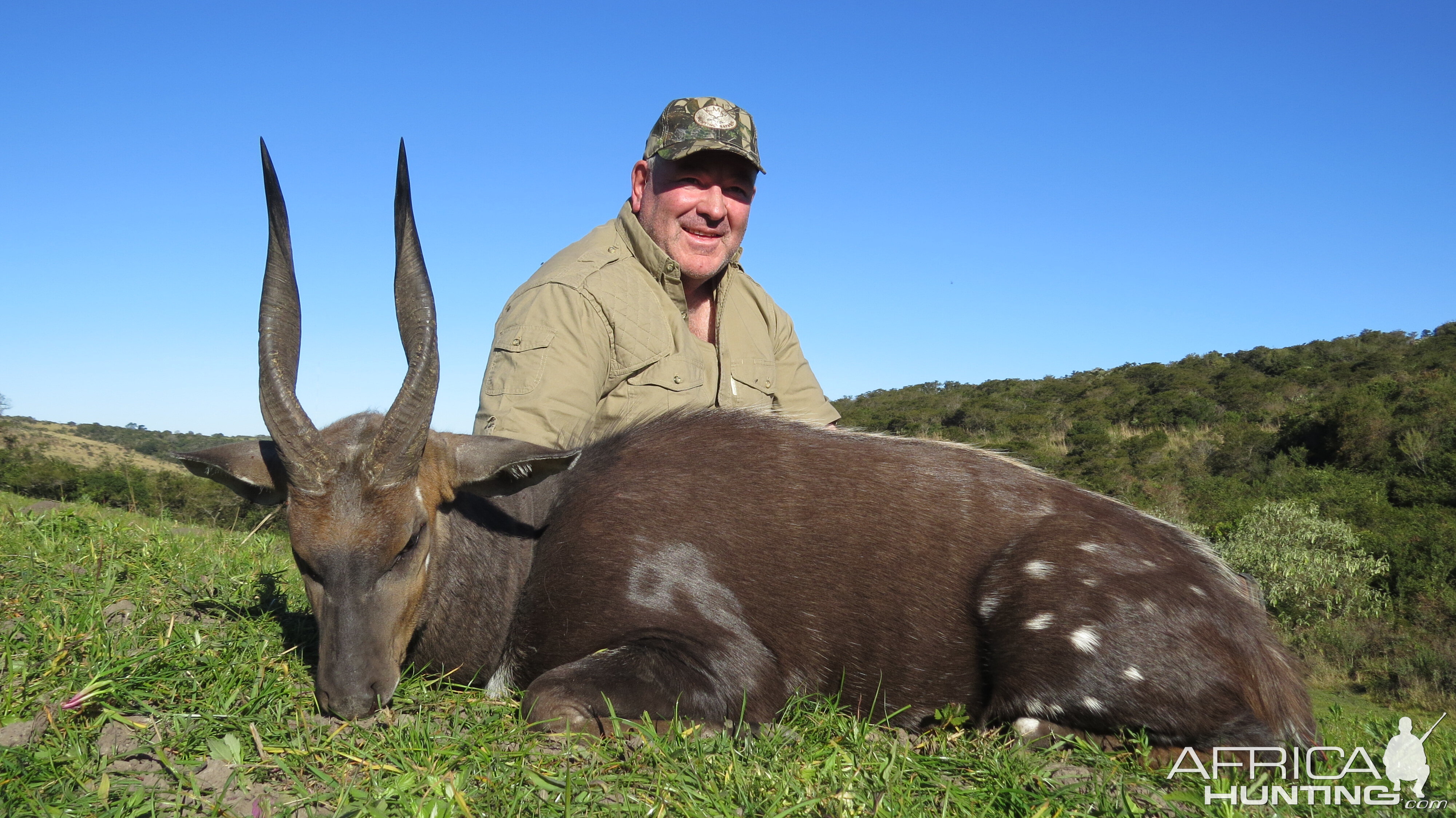 South Africa Hunting Bushbuck