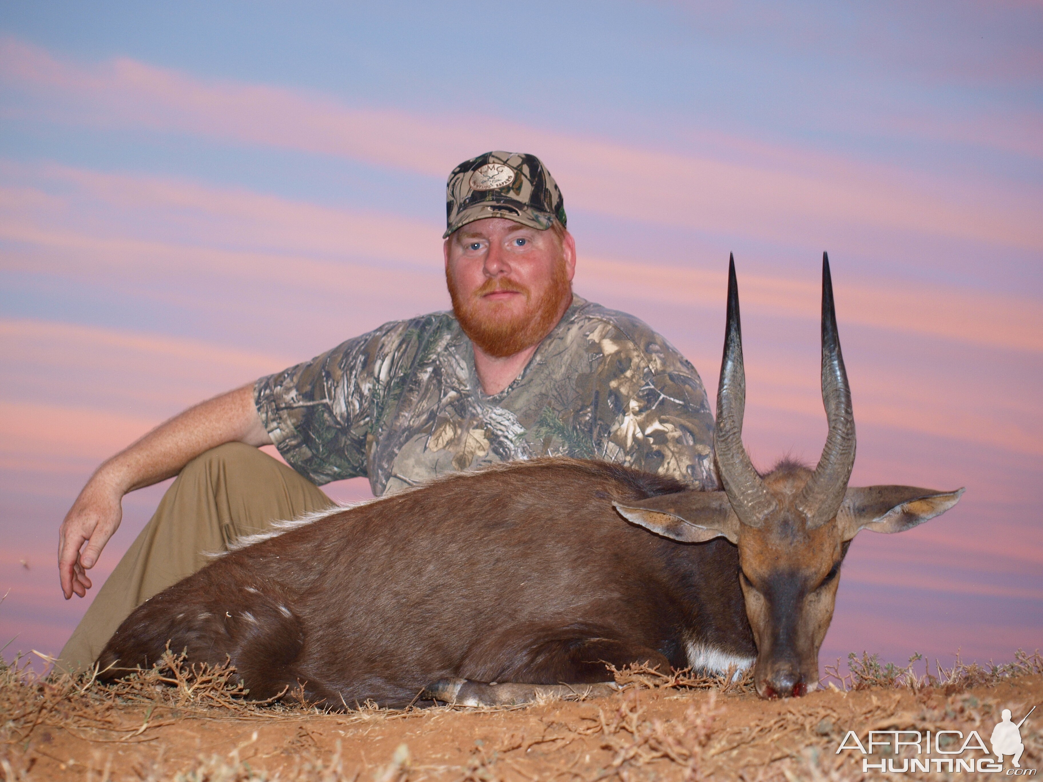 South Africa Hunting Bushbuck