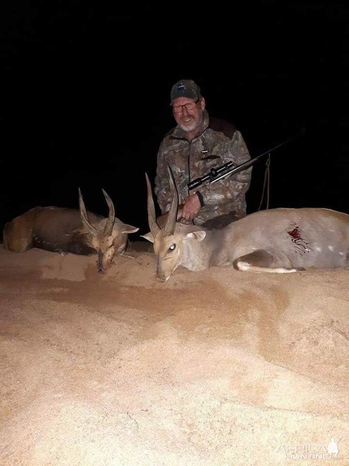 South Africa Hunting Bushbuck