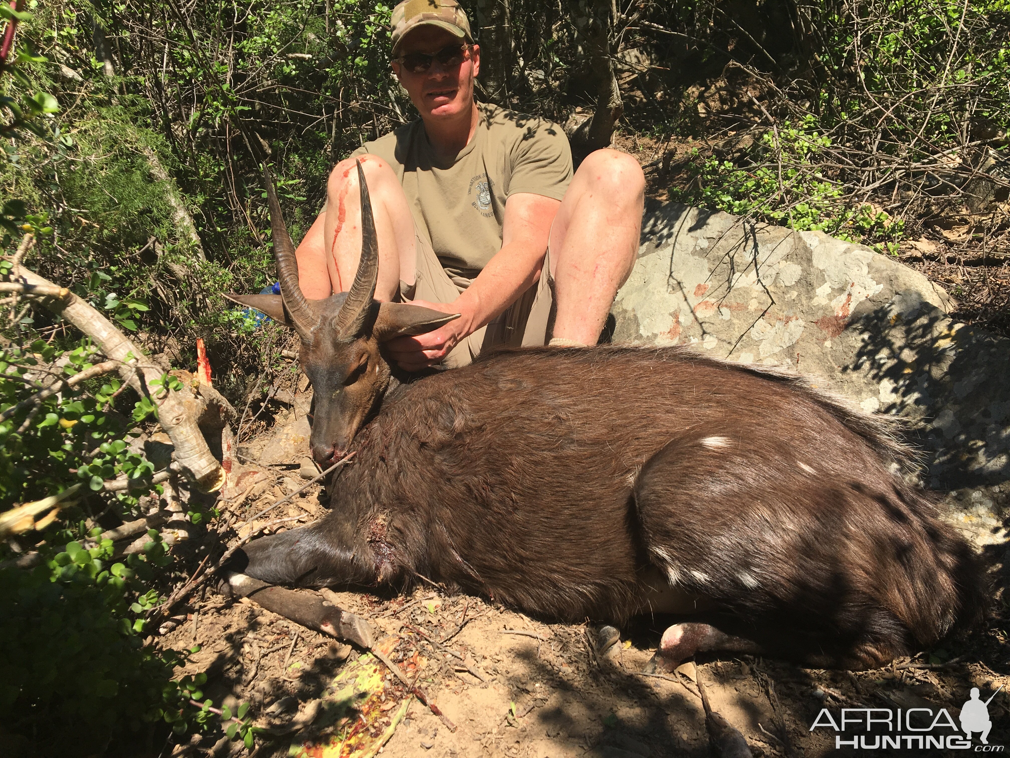 South Africa Hunting Bushbuck