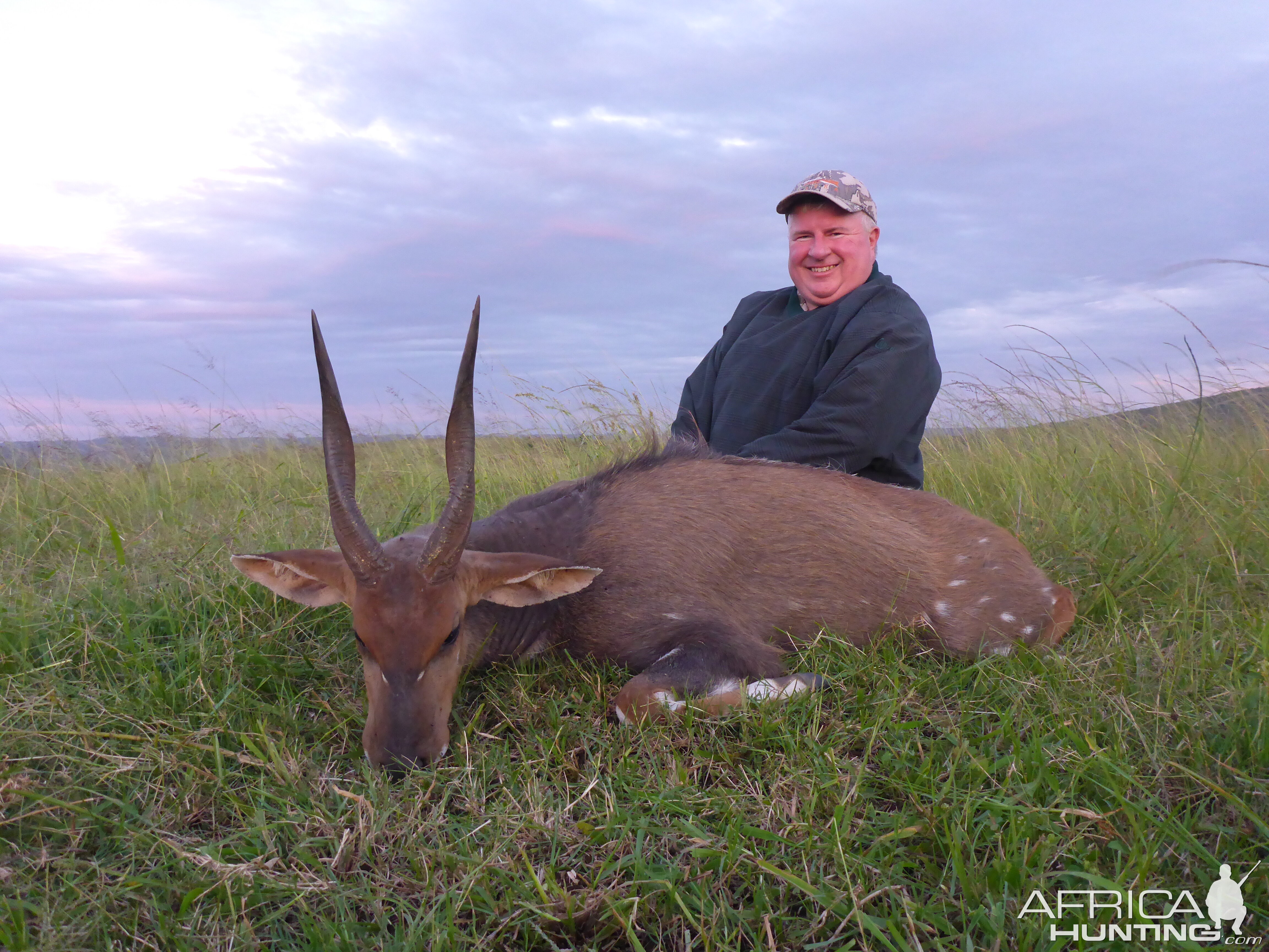 South Africa Hunting Bushbuck