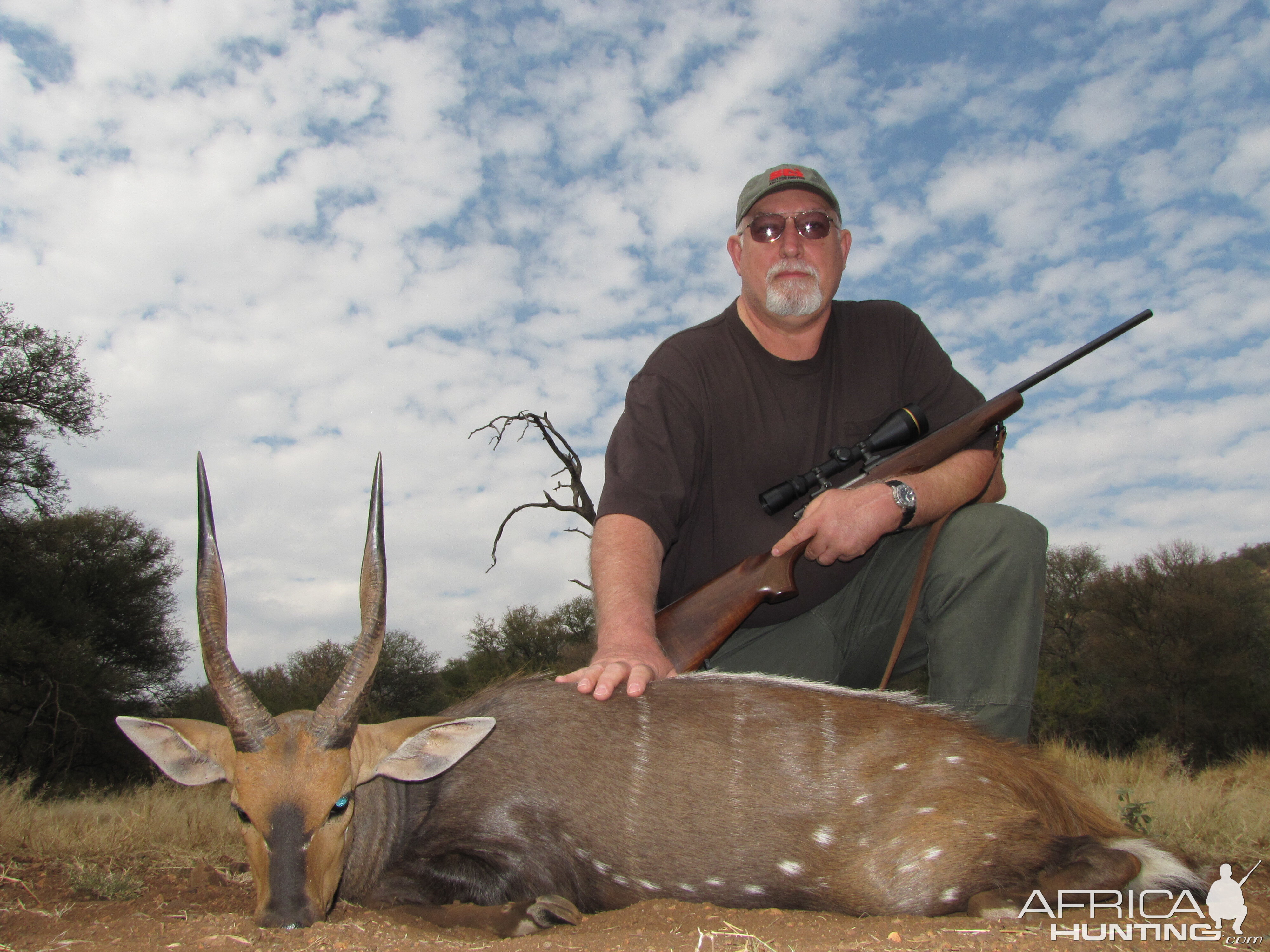 South Africa Hunting Bushbuck