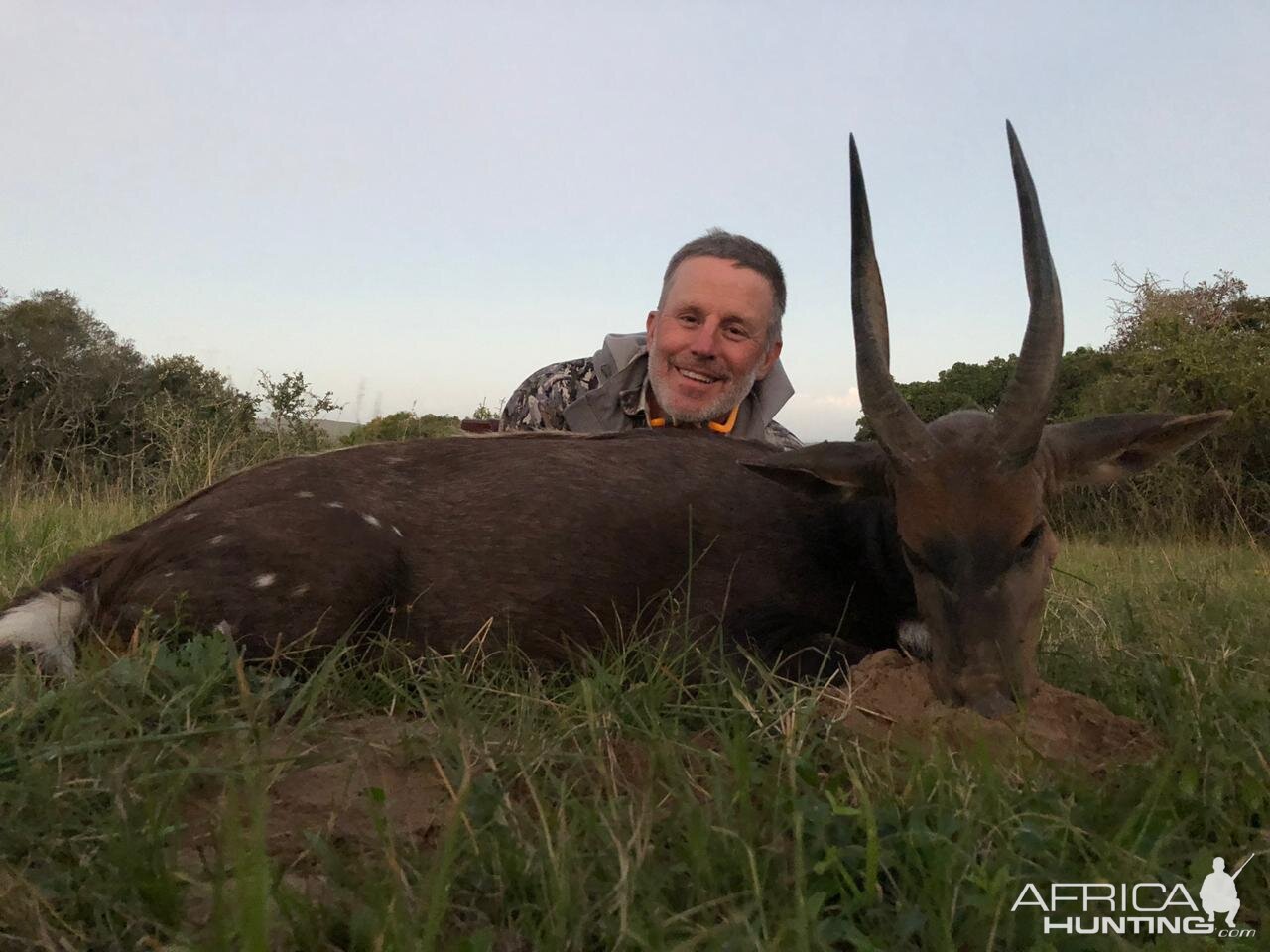 South Africa Hunting Bushbuck