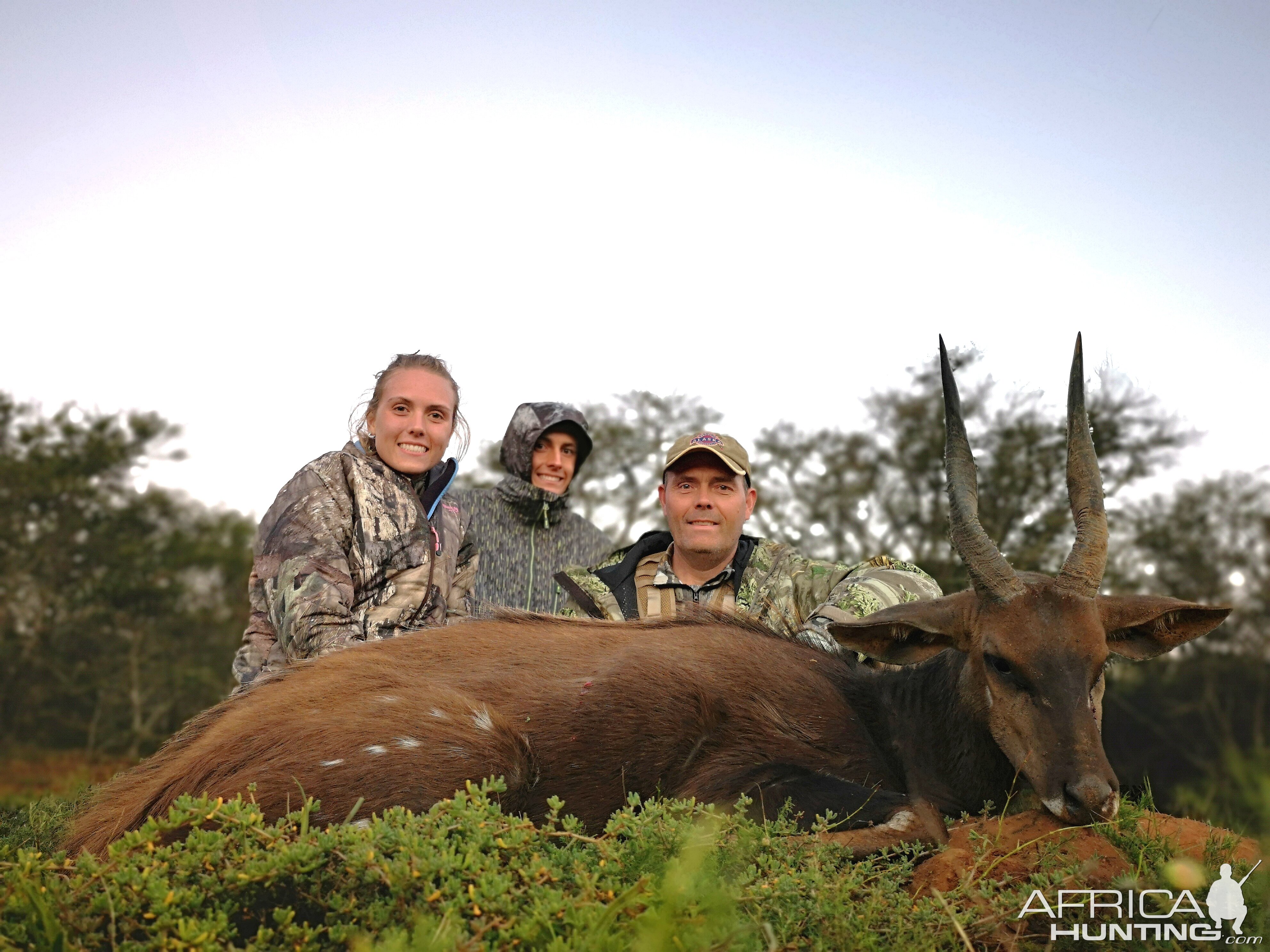 South Africa Hunting Bushbuck