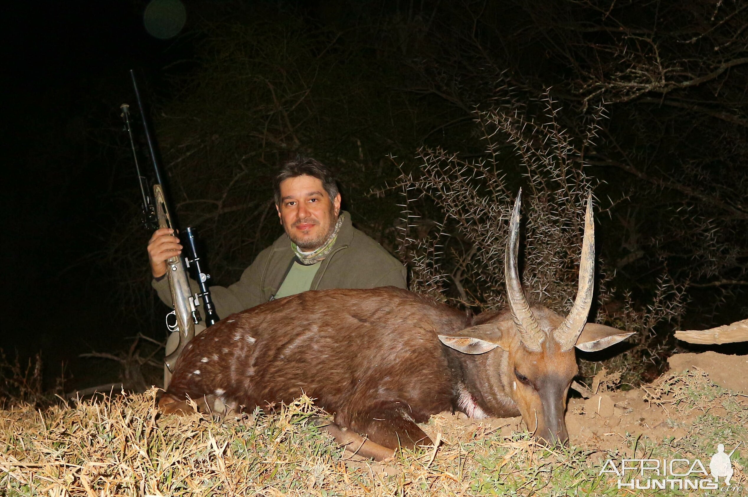 South Africa Hunting Bushbuck