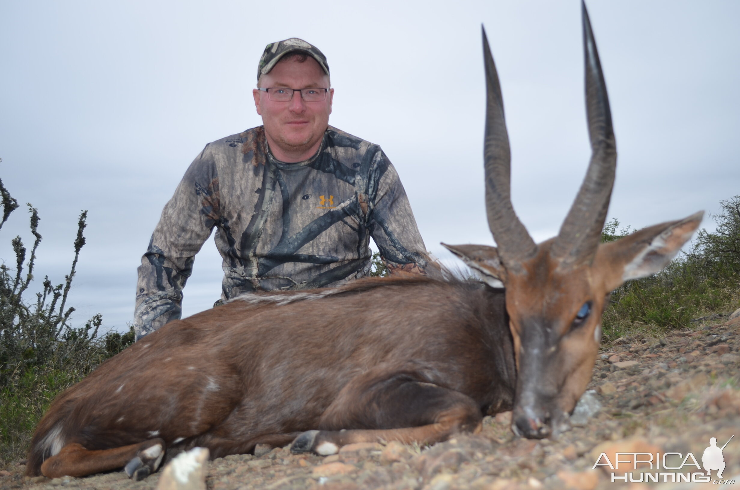 South Africa Hunting Bushbuck