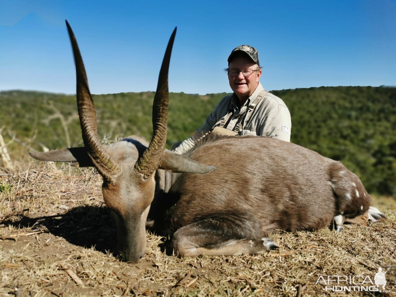 South Africa Hunting Bushbuck