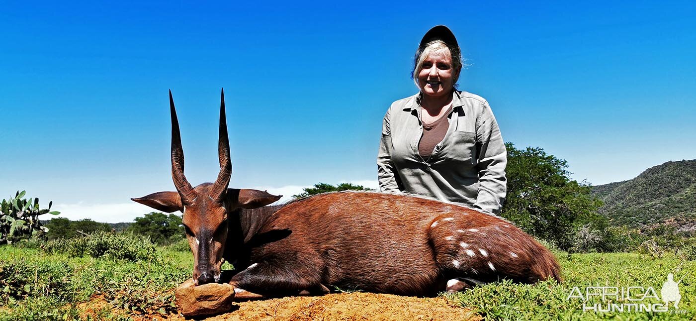 South Africa Hunting Bushpig