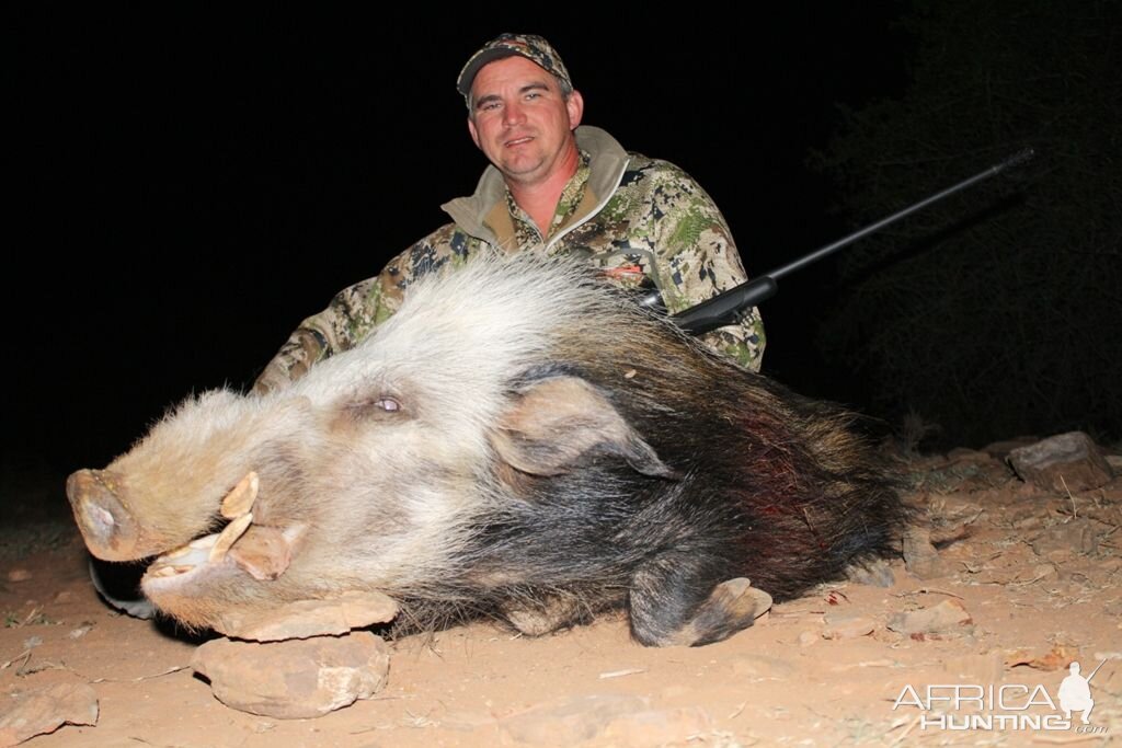 South Africa Hunting Bushpig