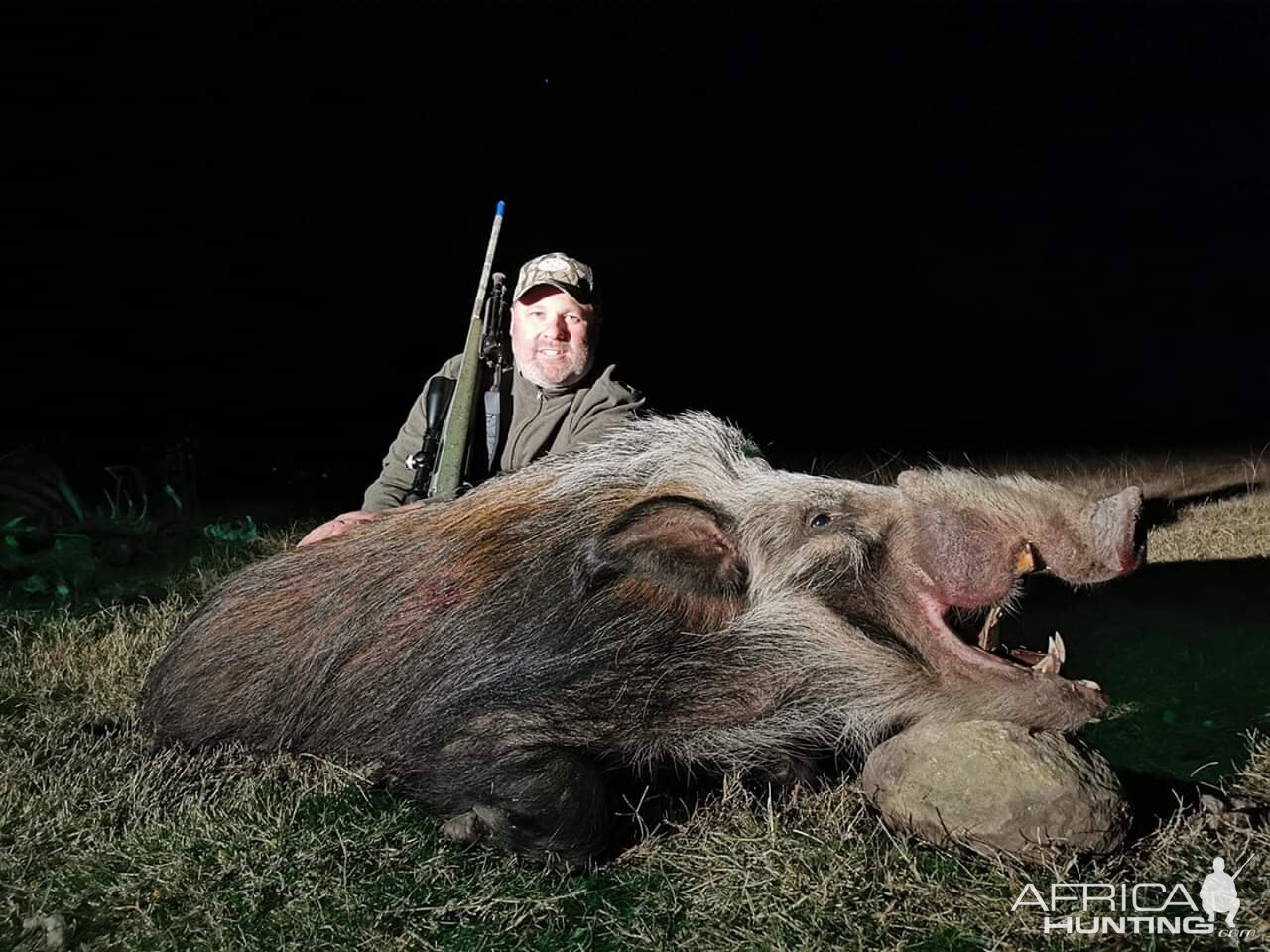 South Africa Hunting Bushpig