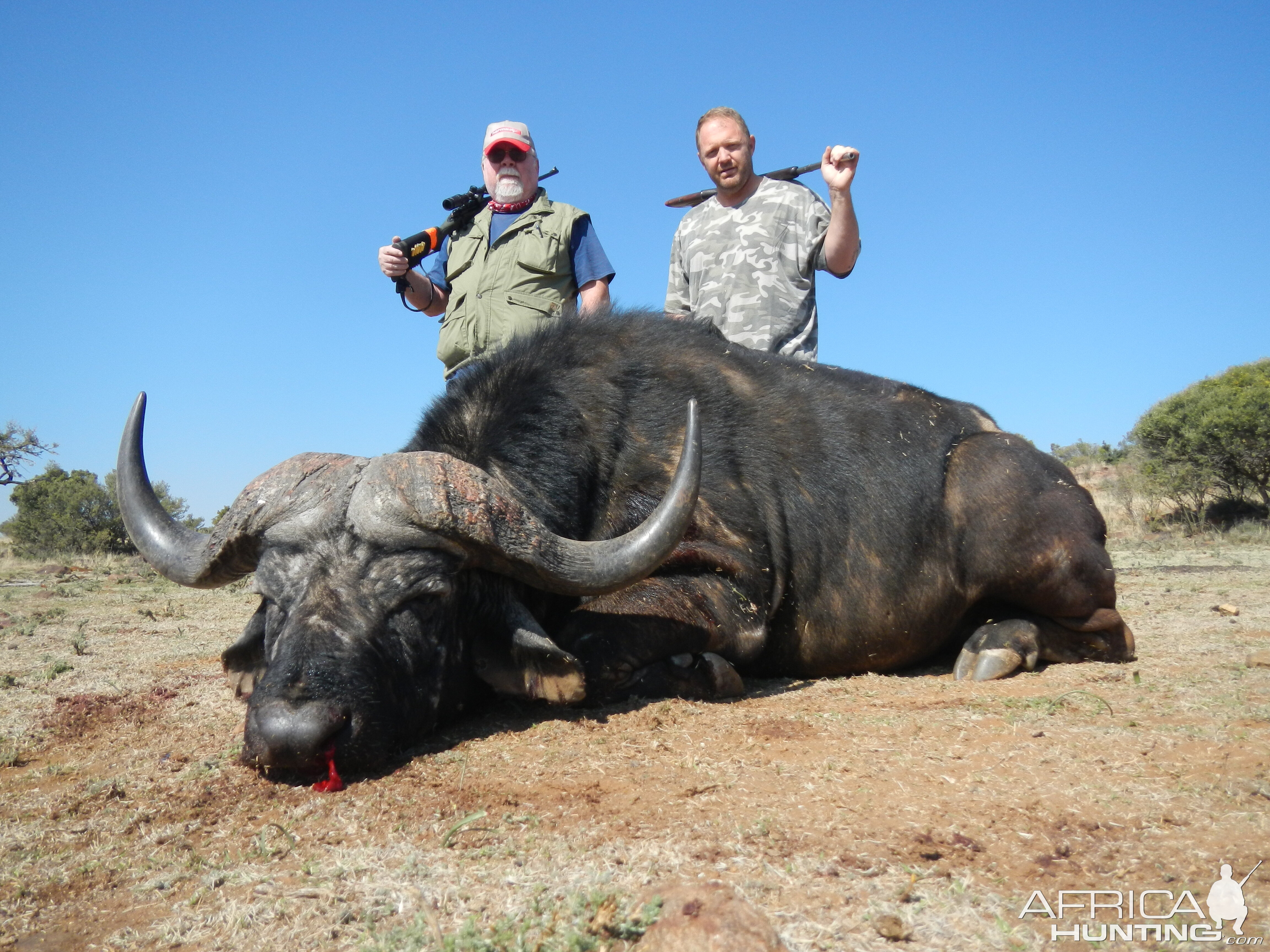 South Africa Hunting Cape Buffalo