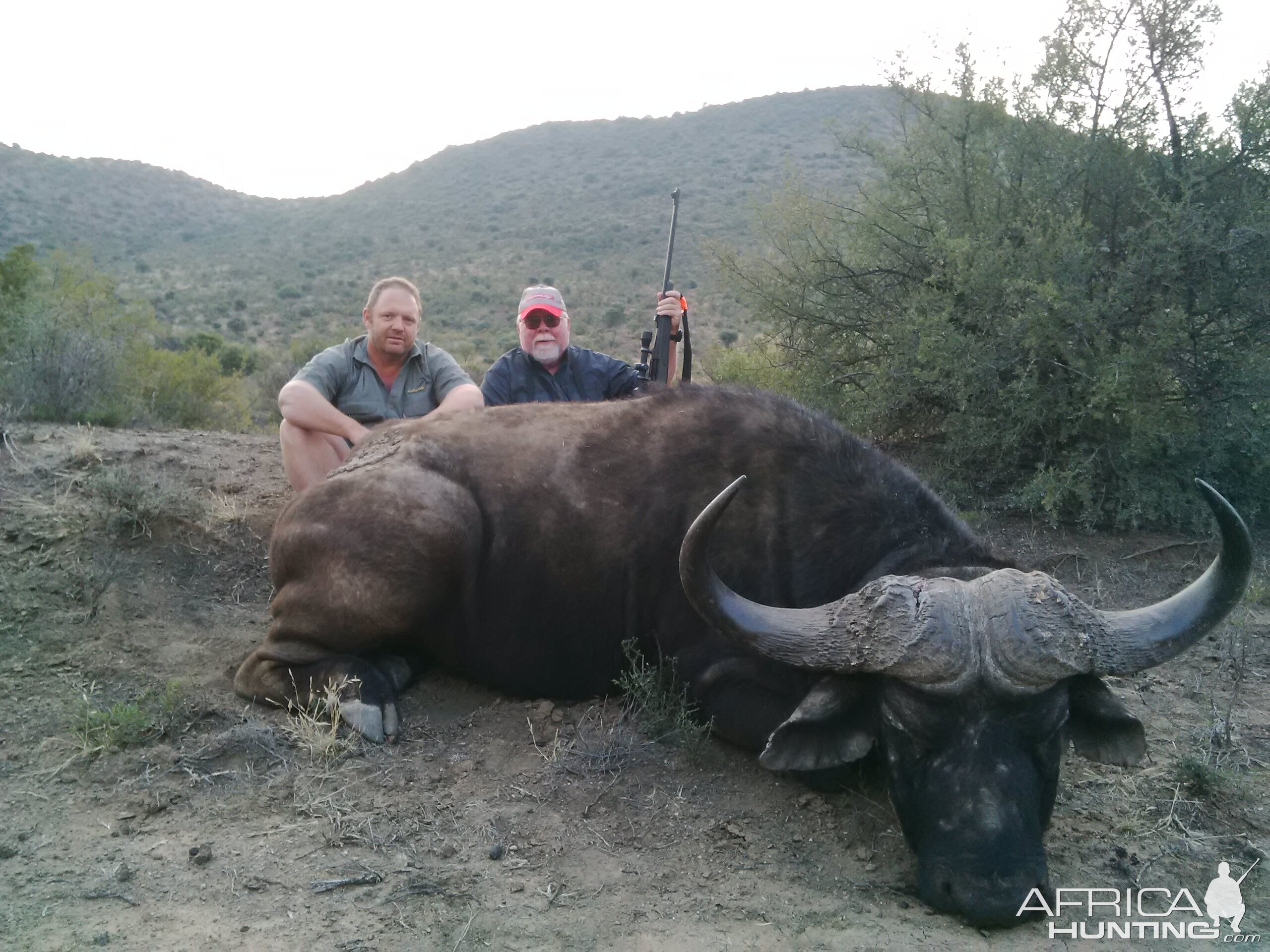 South Africa Hunting Cape Buffalo