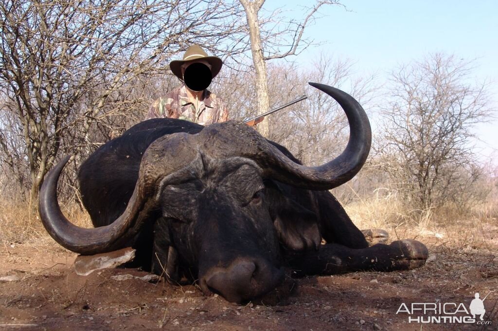 South Africa Hunting Cape Buffalo