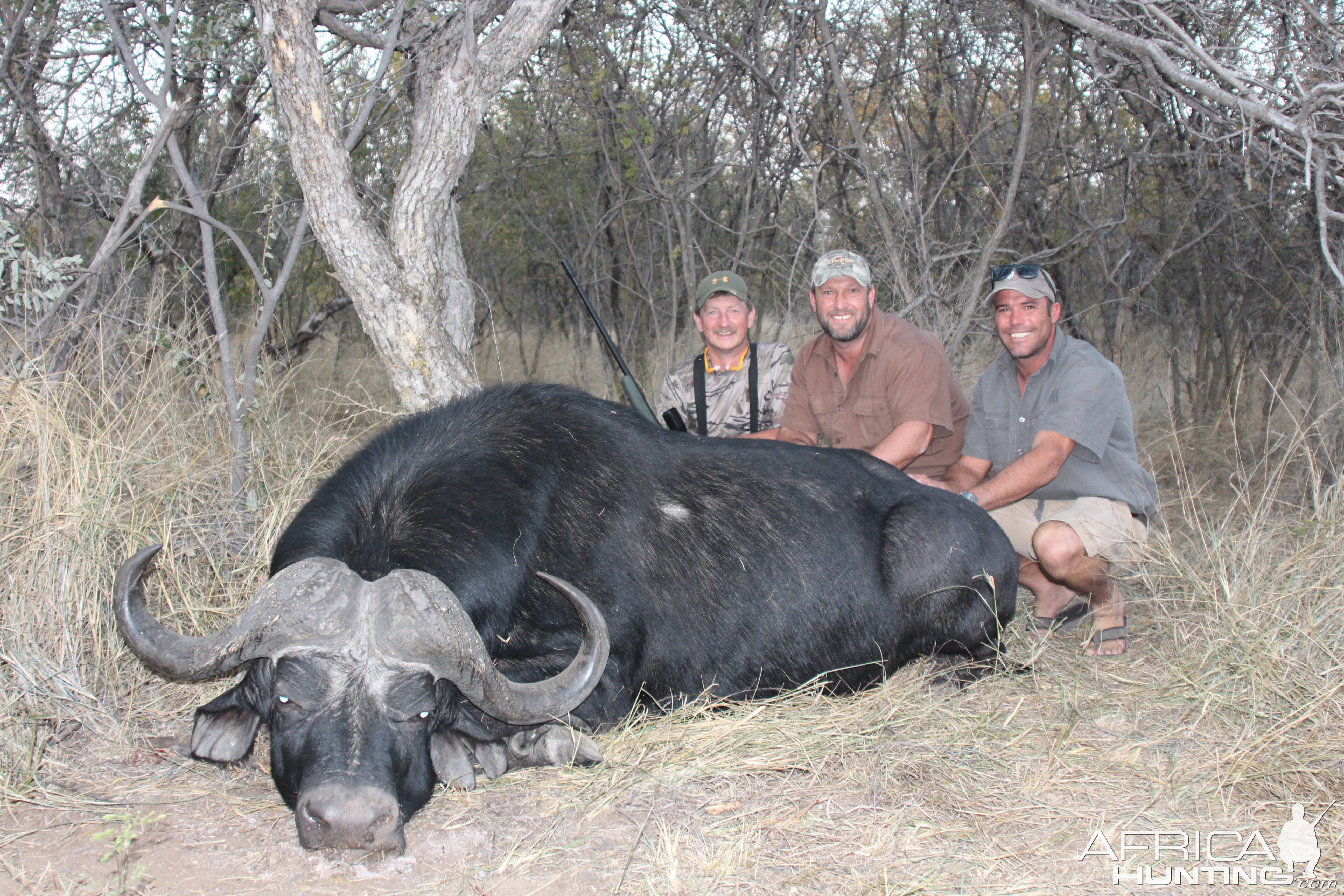 South Africa Hunting Cape Buffalo