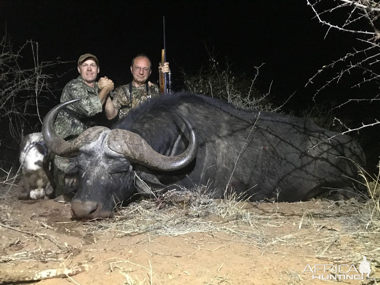 South Africa Hunting Cape Buffalo