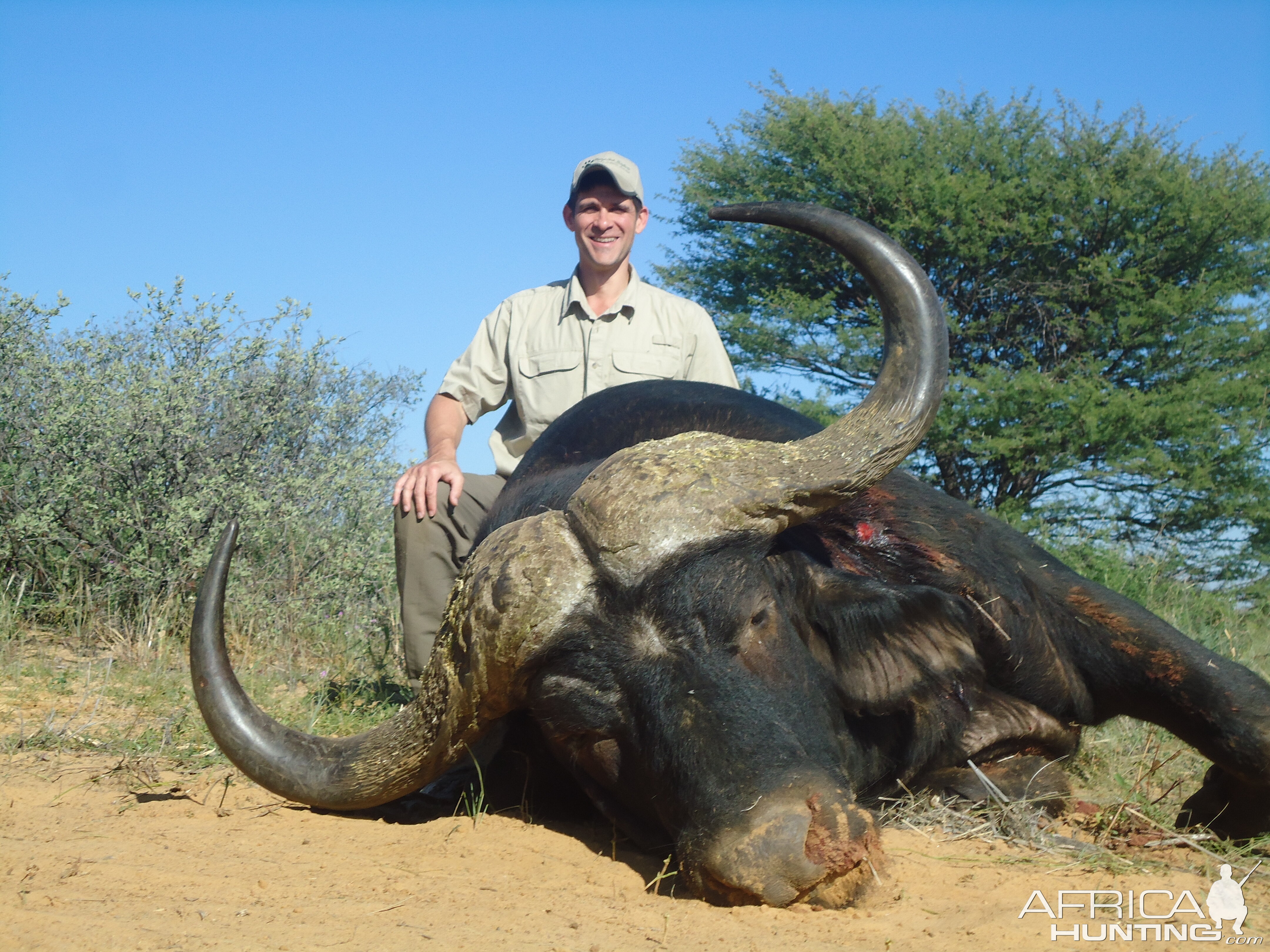 South Africa Hunting Cape Buffalo