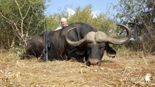 South Africa Hunting Cape Buffalo