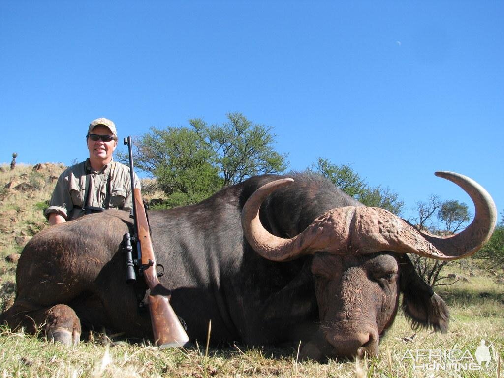 South Africa Hunting Cape Buffalo