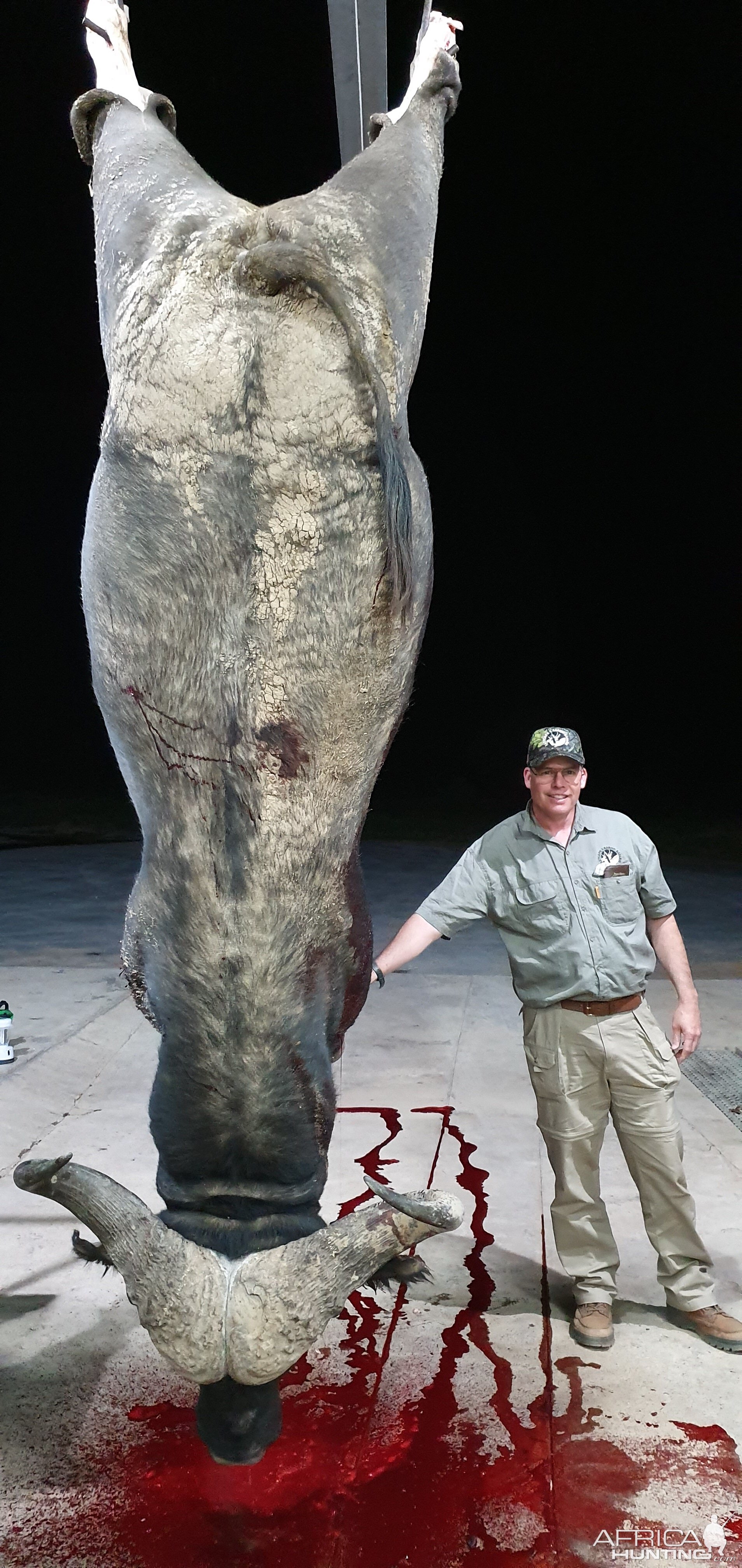 South Africa Hunting Cape Buffalo