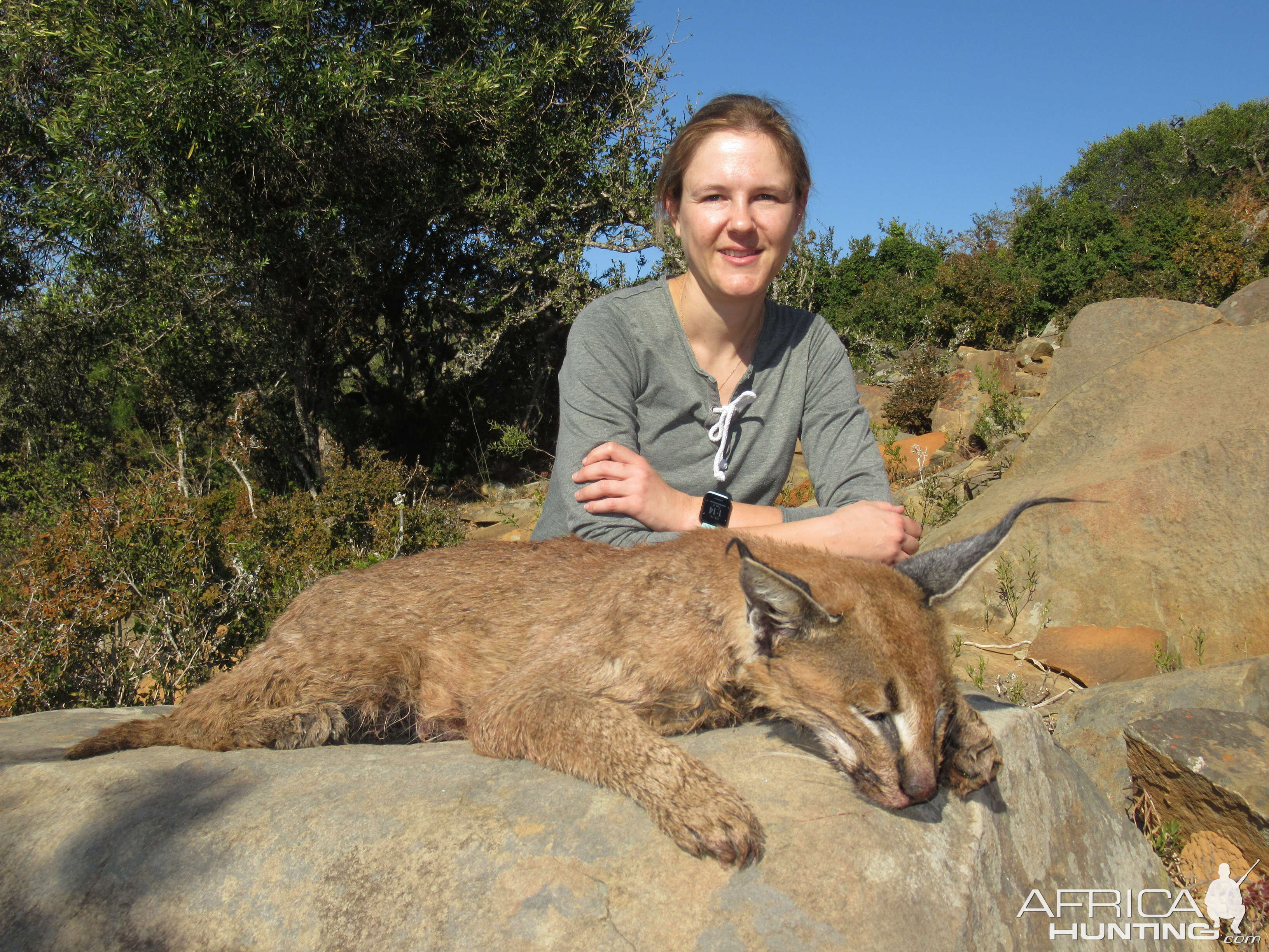 South Africa Hunting Caracal