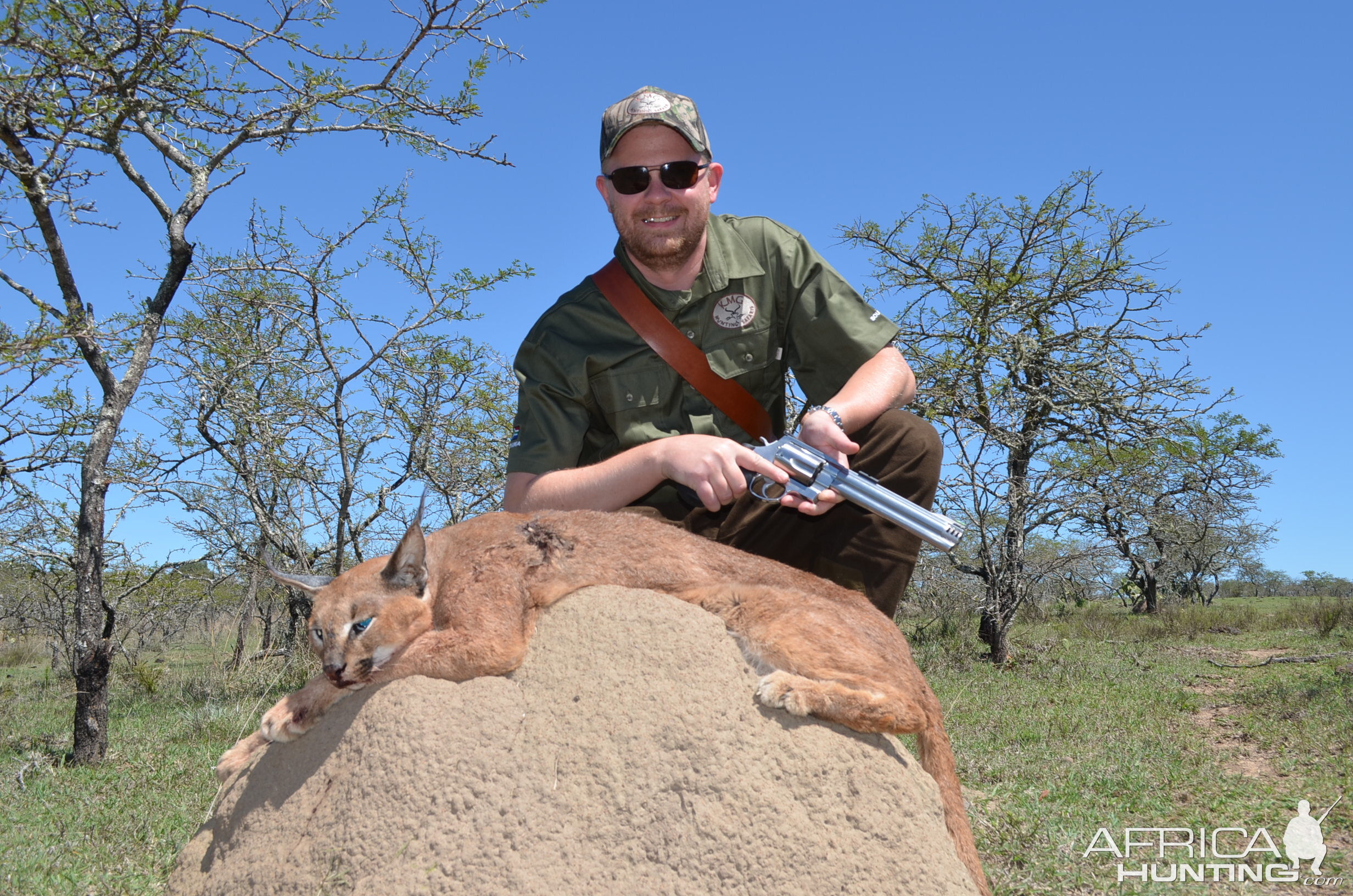 South Africa Hunting Caracal