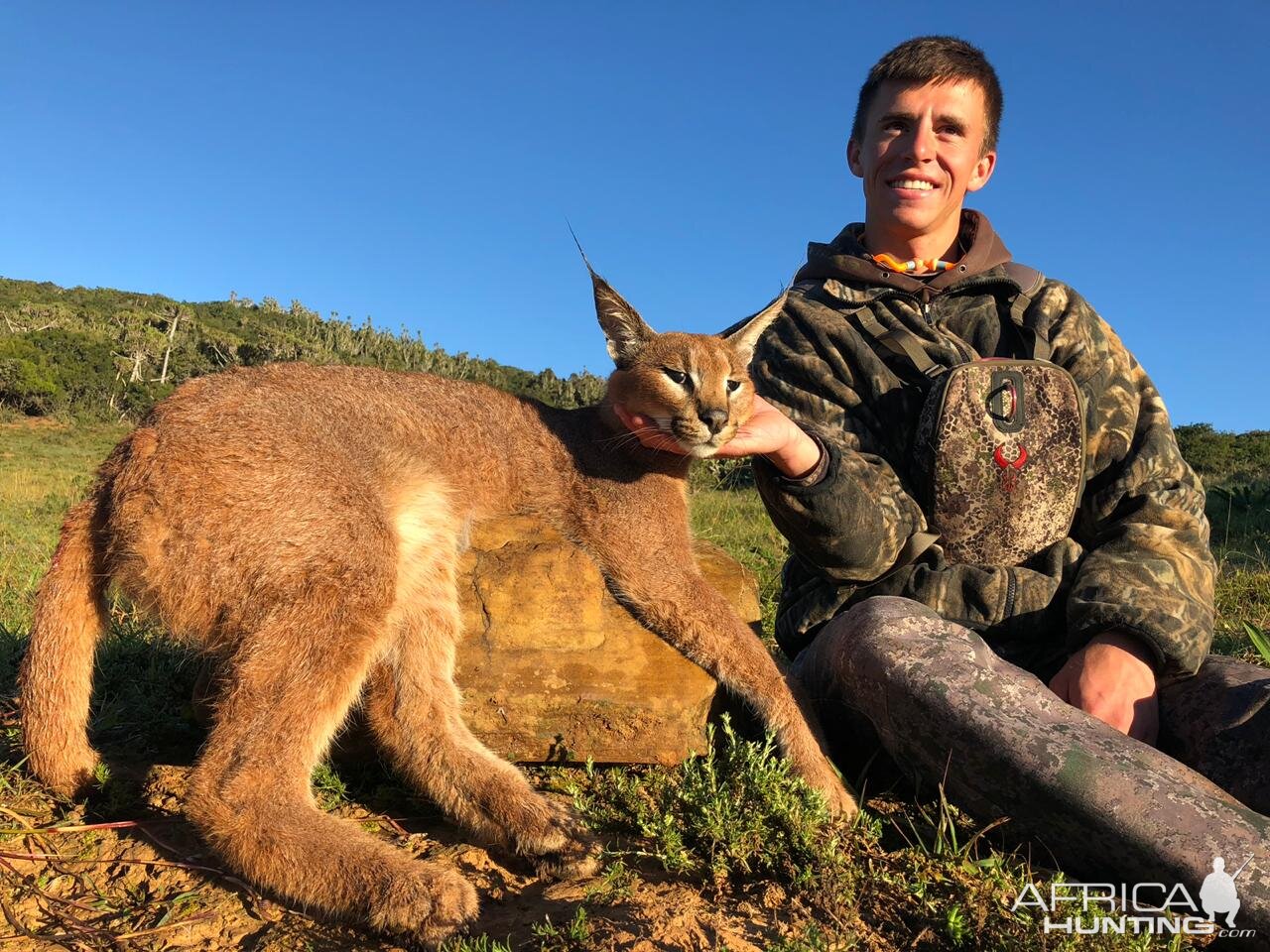 South Africa Hunting Caracal