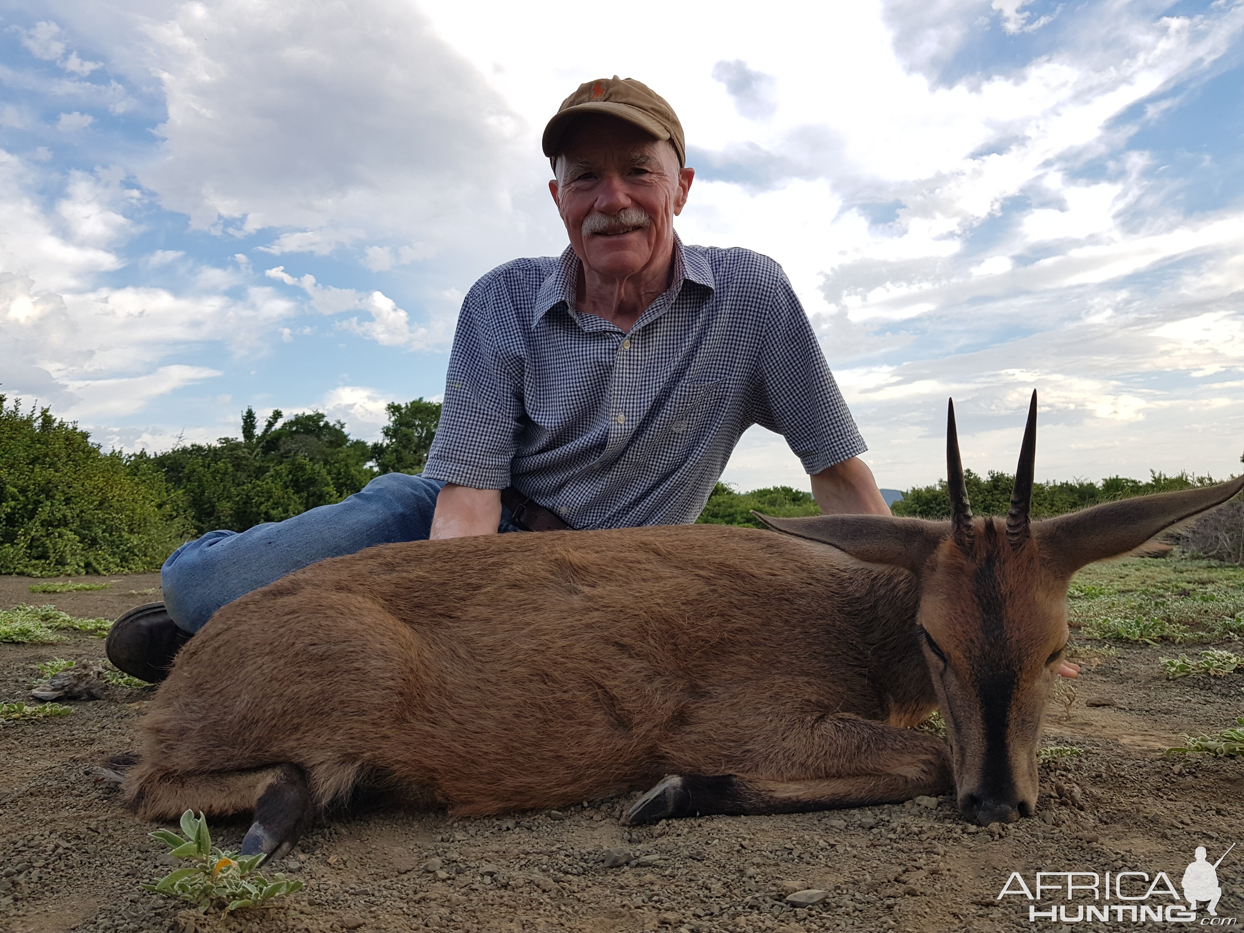 South Africa Hunting Duiker