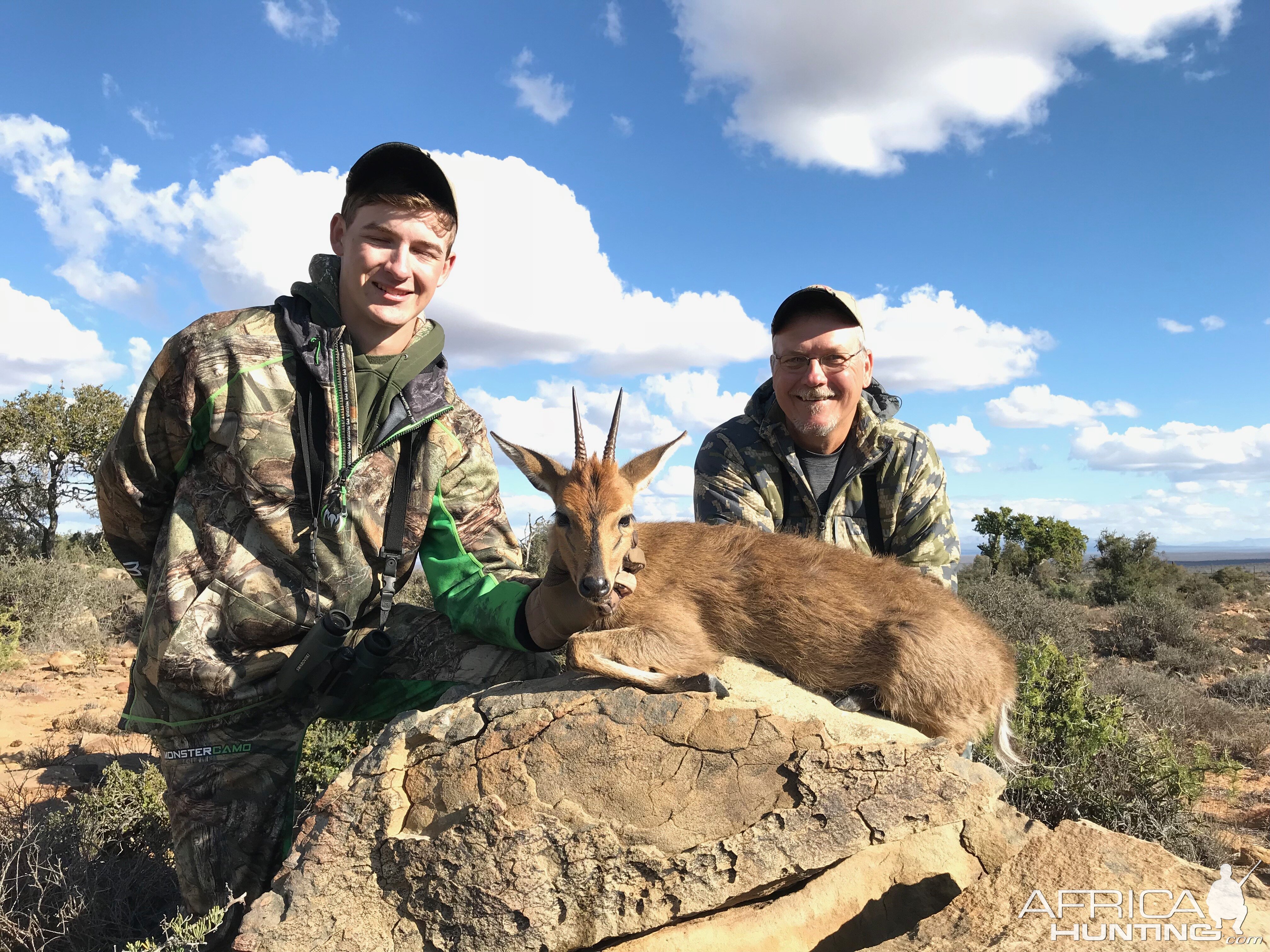 South Africa Hunting Duiker