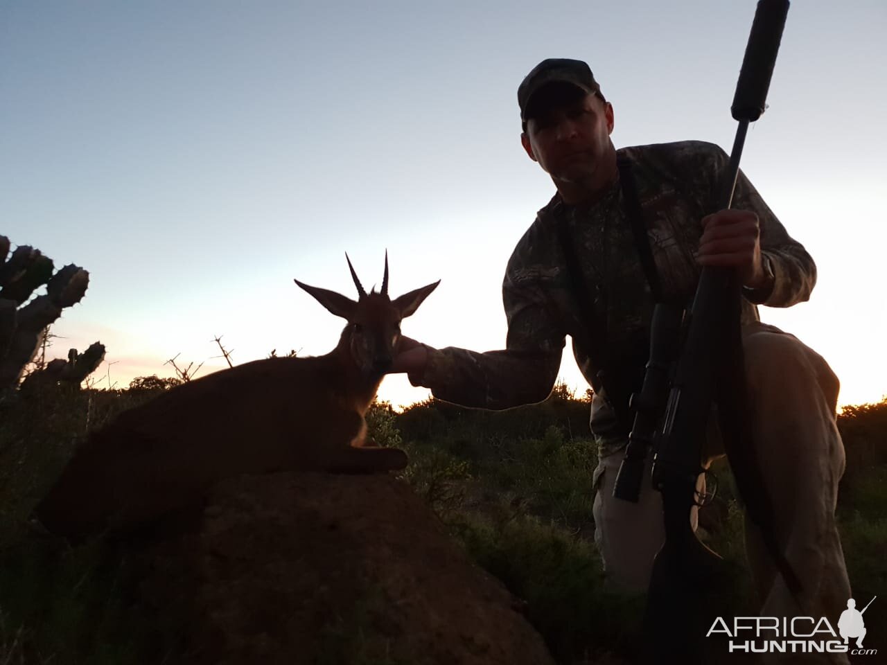 South Africa Hunting Duiker