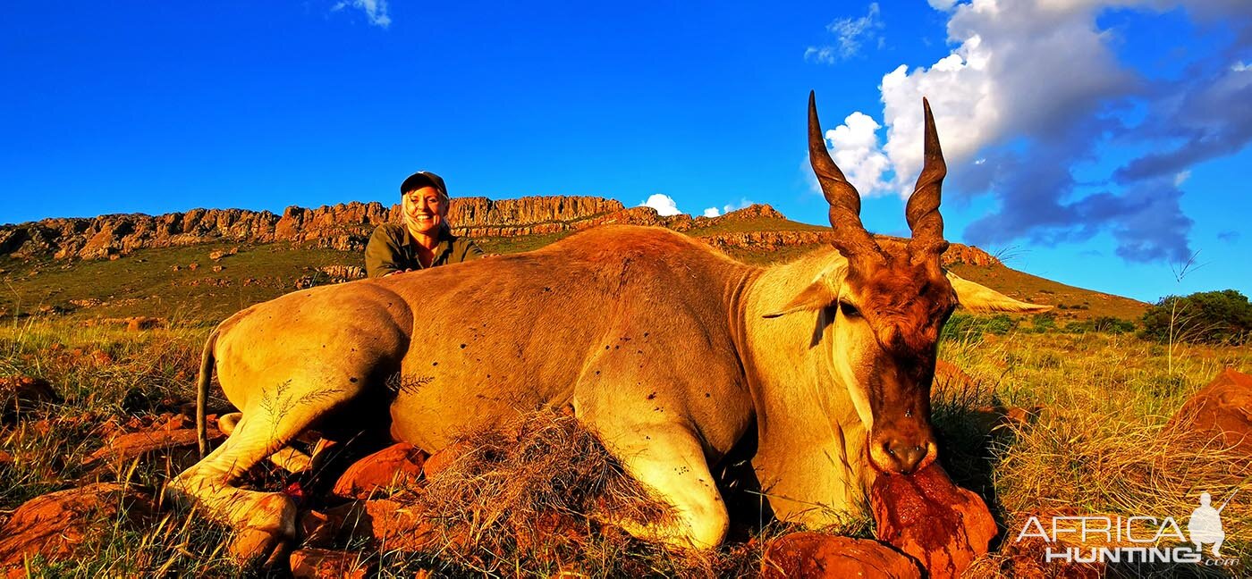 South Africa Hunting Eland