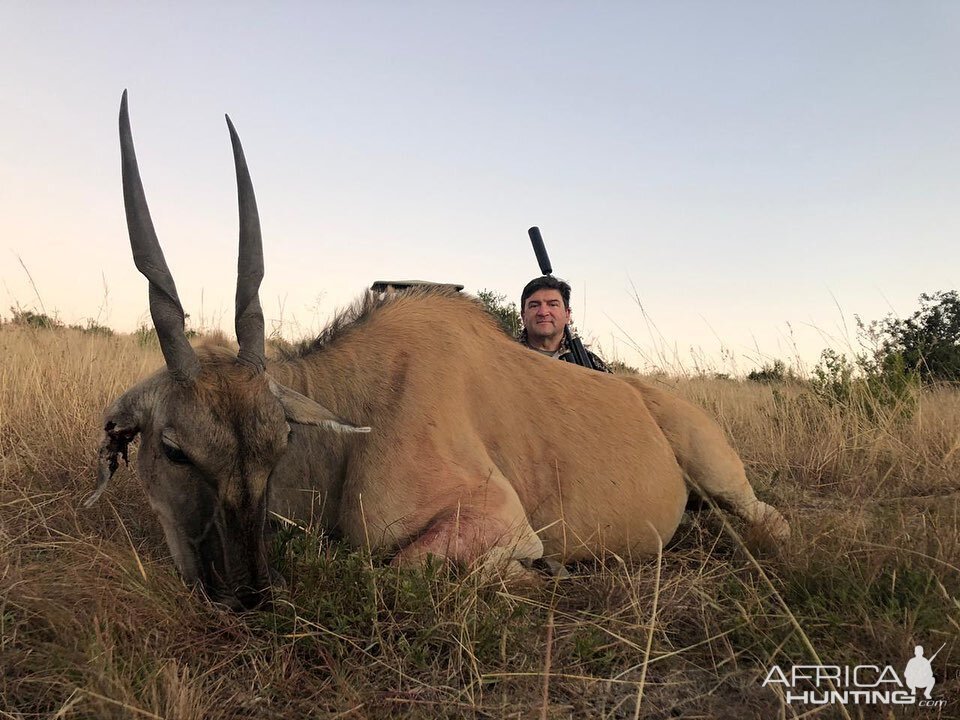 South Africa Hunting Eland