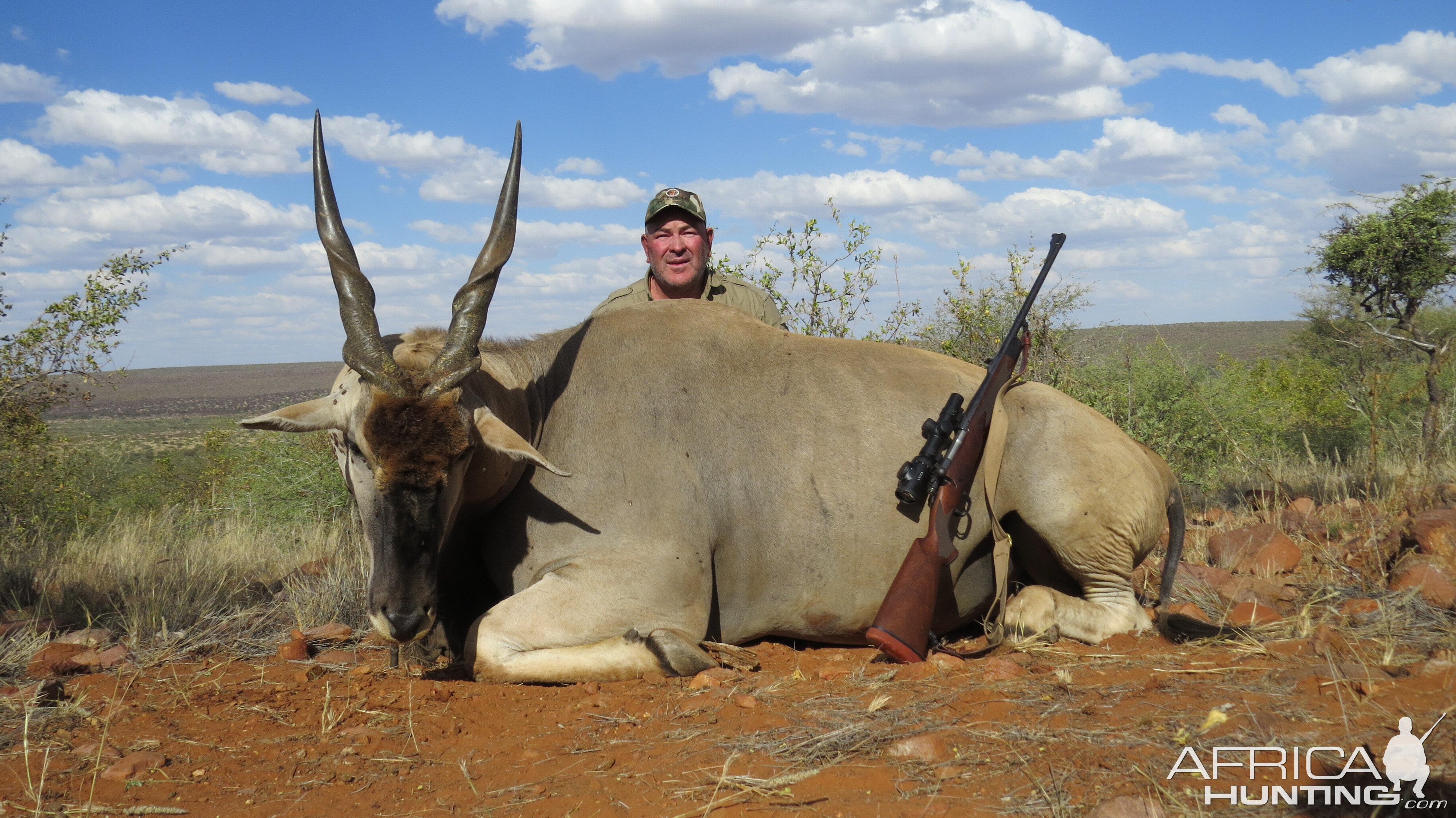 South Africa Hunting Eland