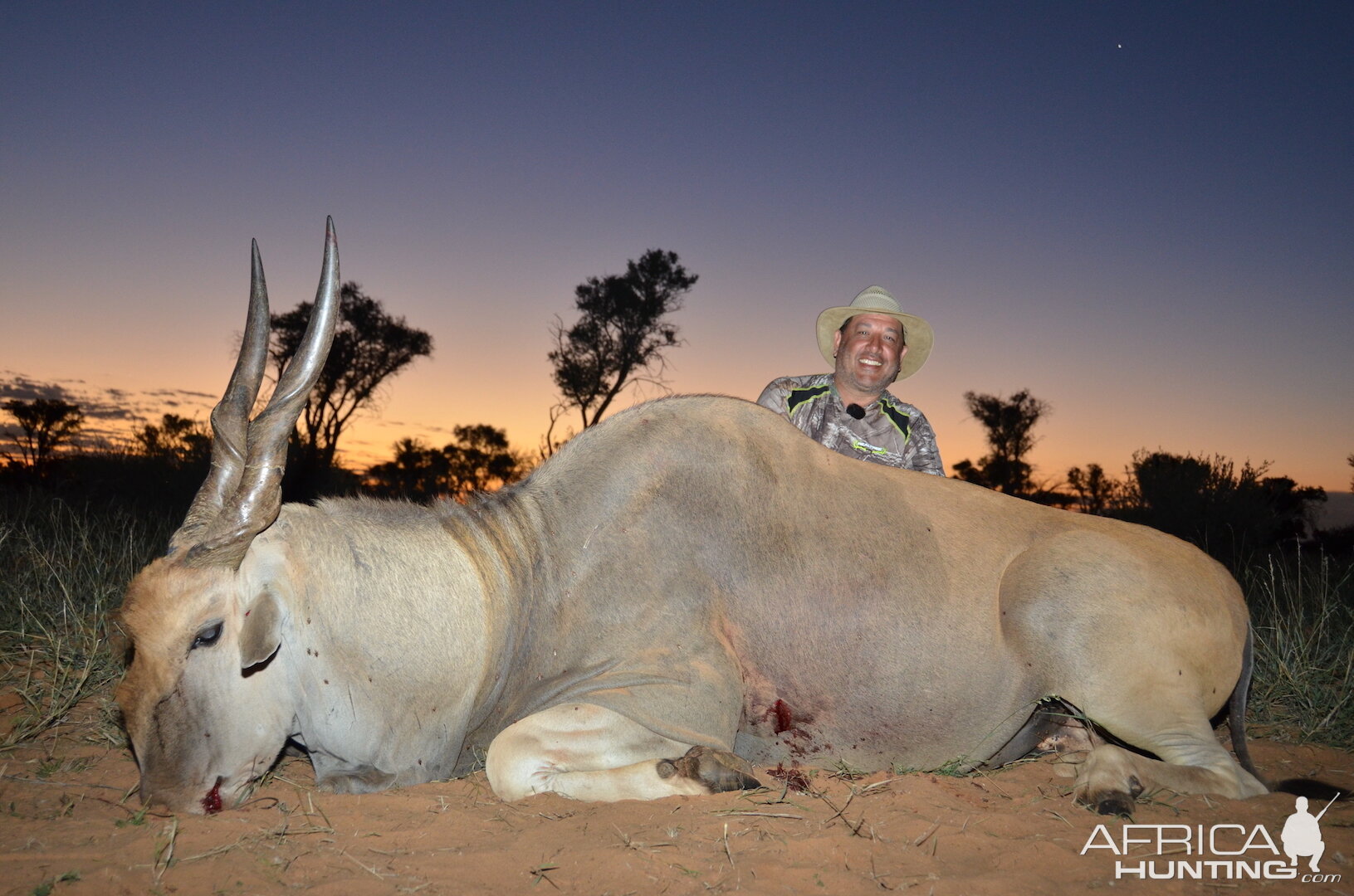 South Africa Hunting Eland