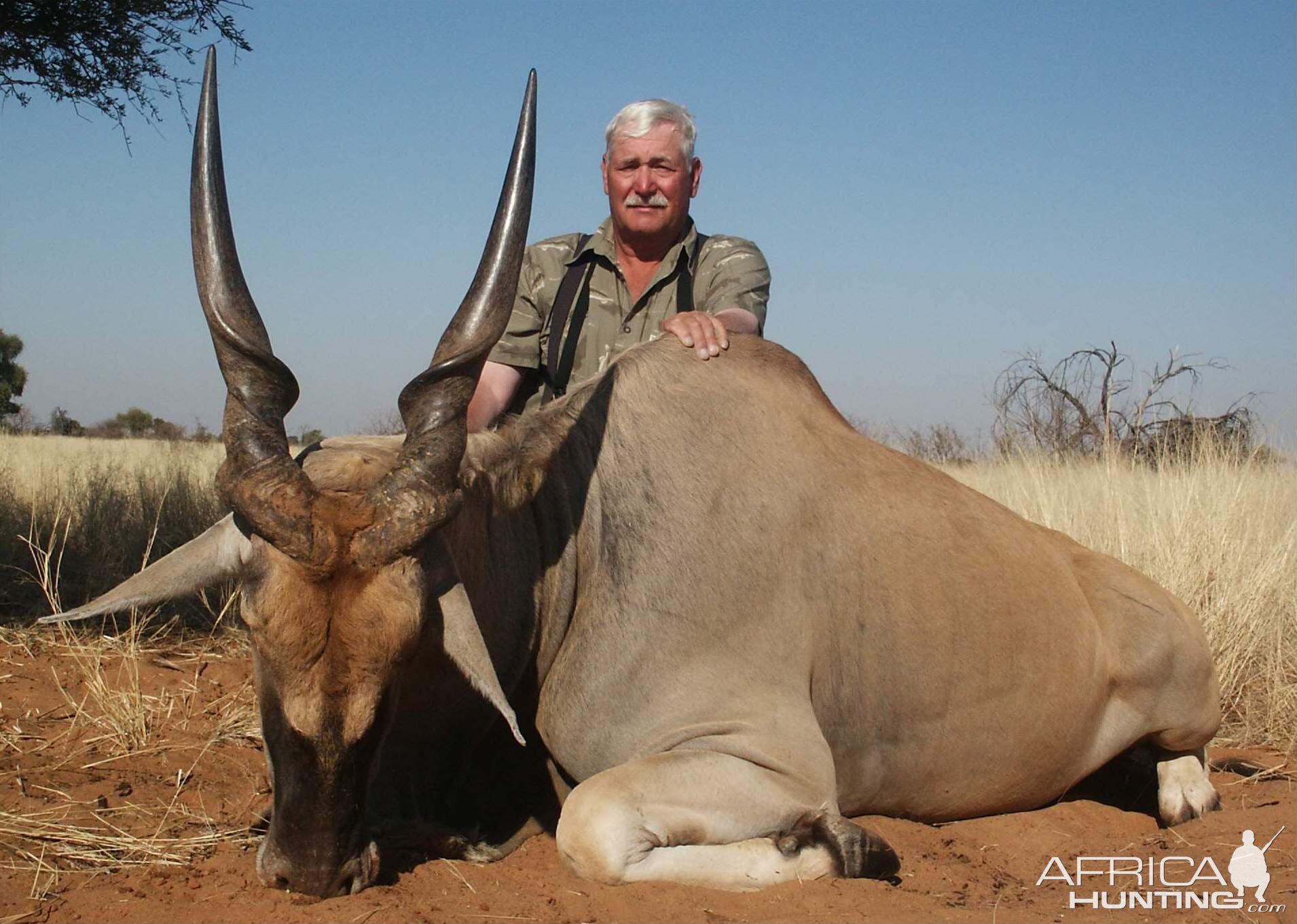 South Africa Hunting Eland