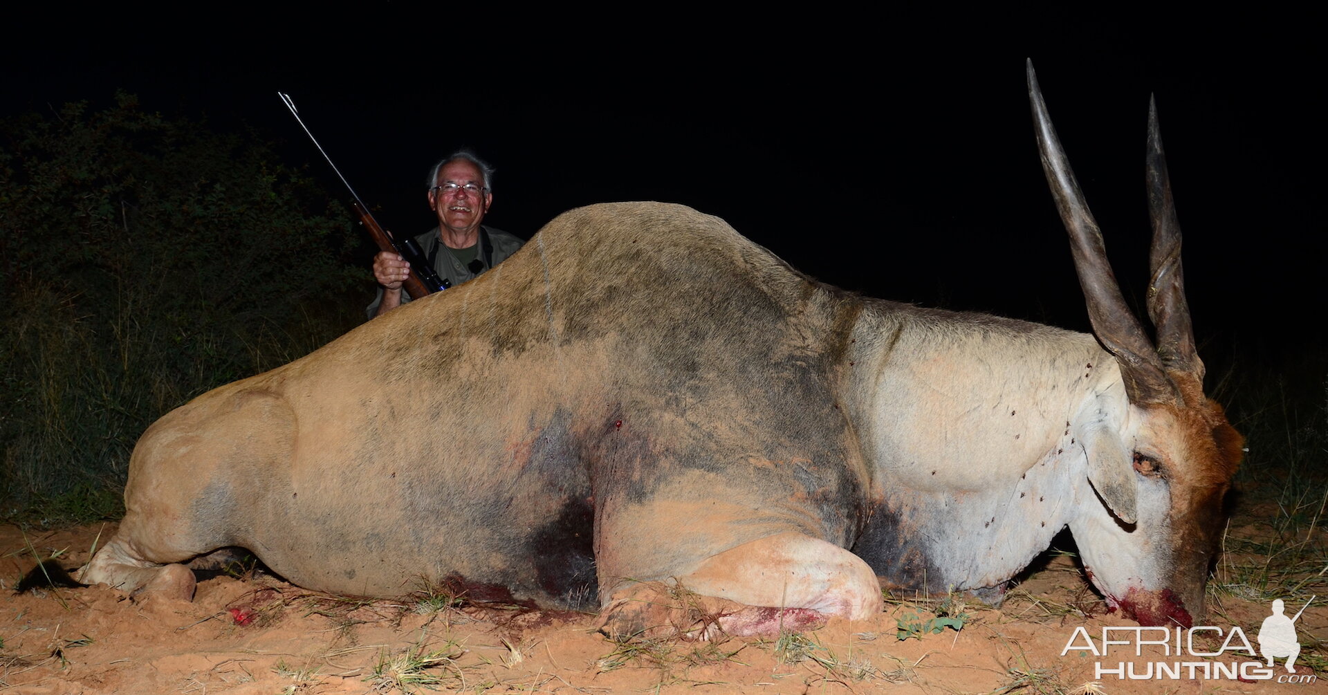 South Africa Hunting Eland