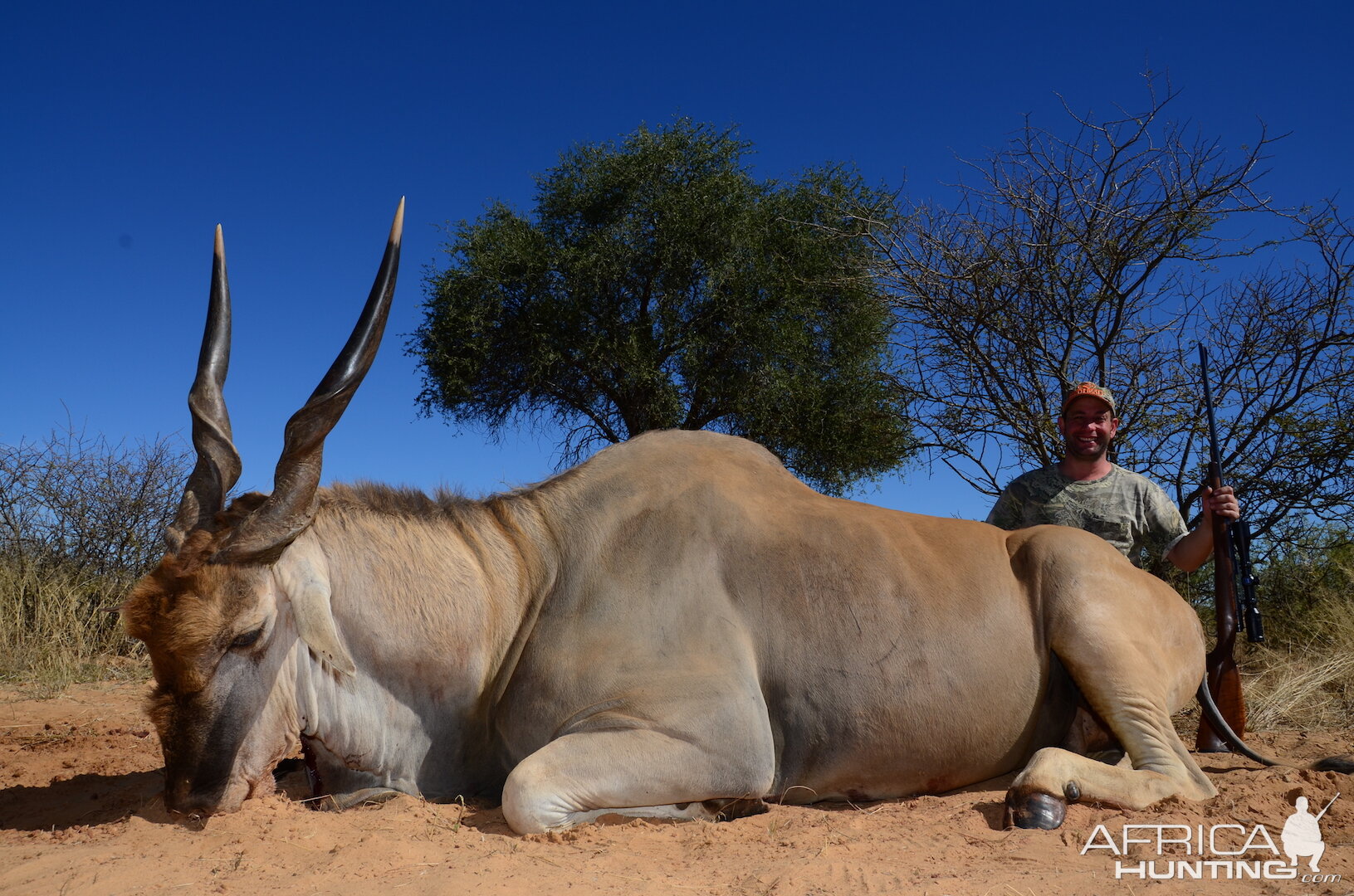 South Africa Hunting Eland