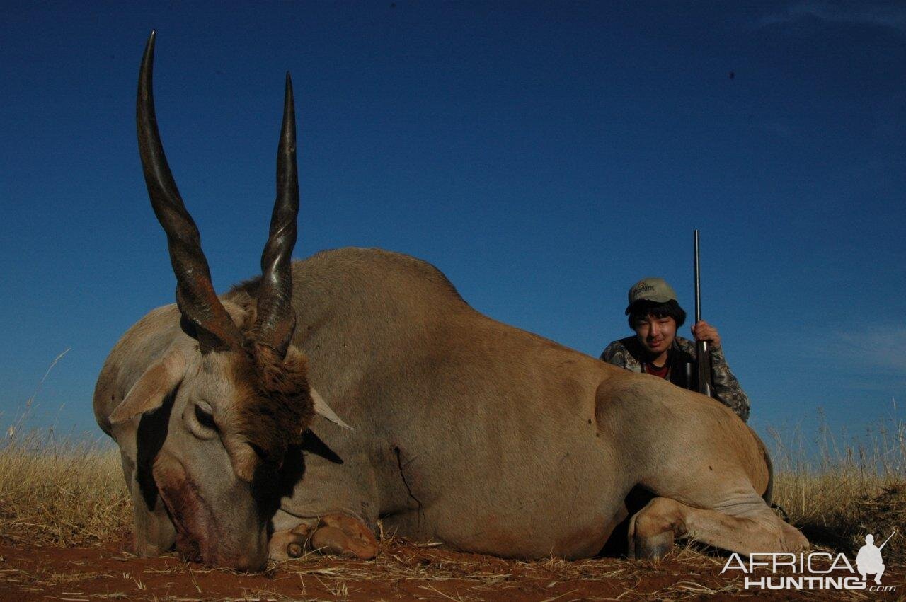 South Africa Hunting Eland