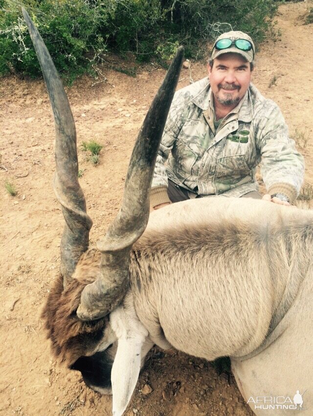 South Africa Hunting Eland