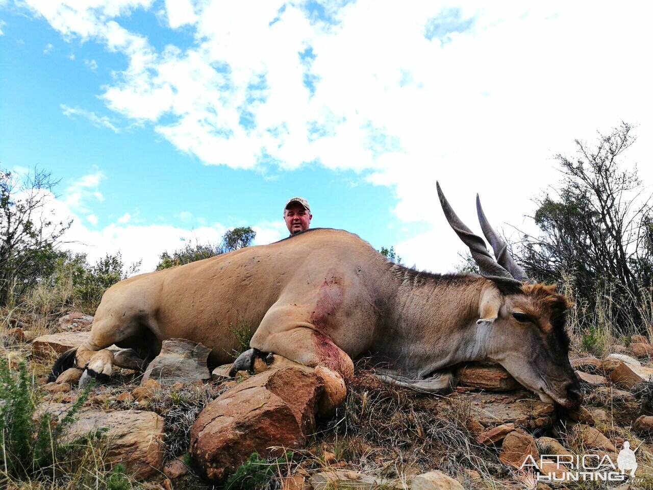 South Africa Hunting Eland